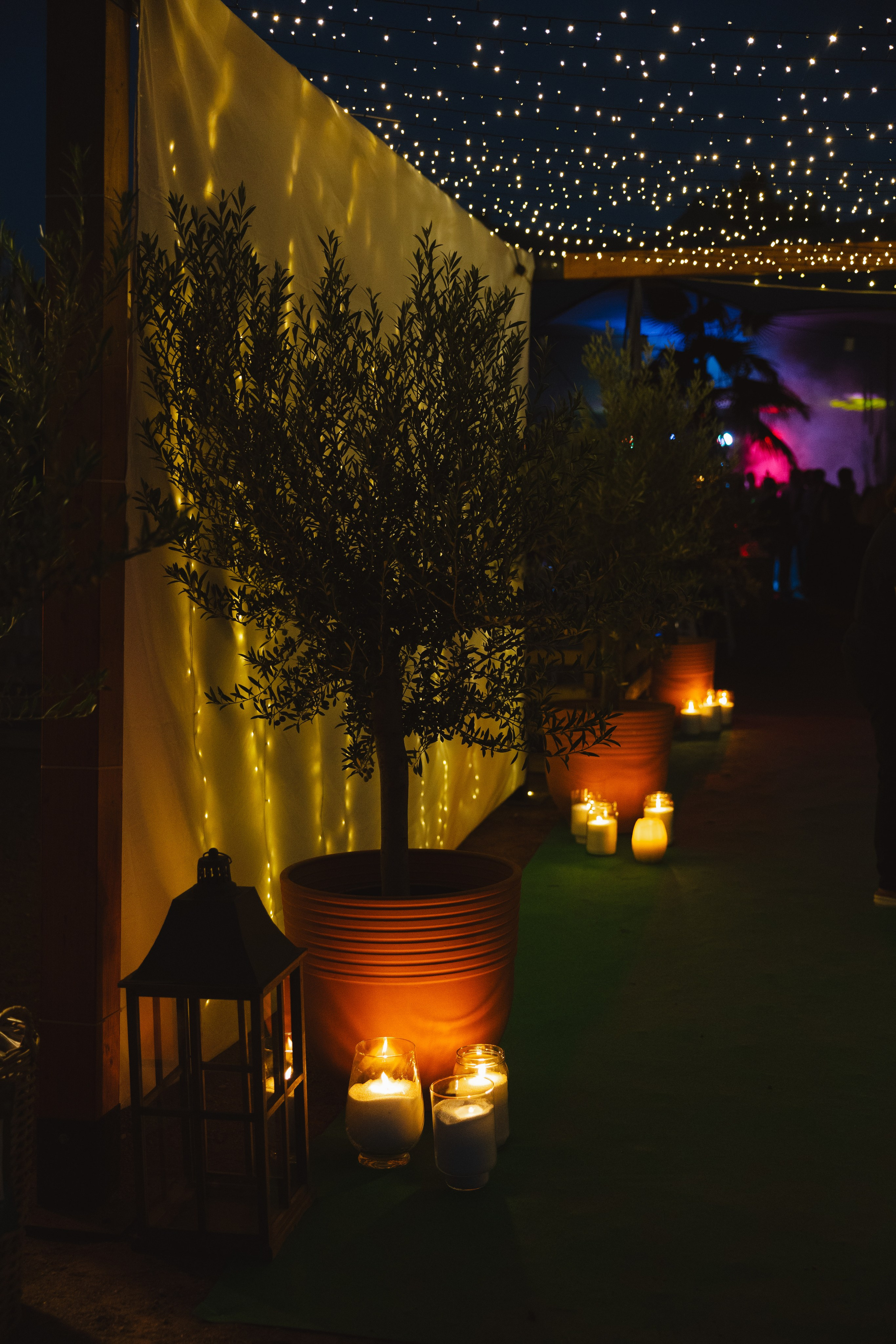 Mª ÁNGELES & ALEJANDRO. Fotógrafo y Videografo de bodas y eventos