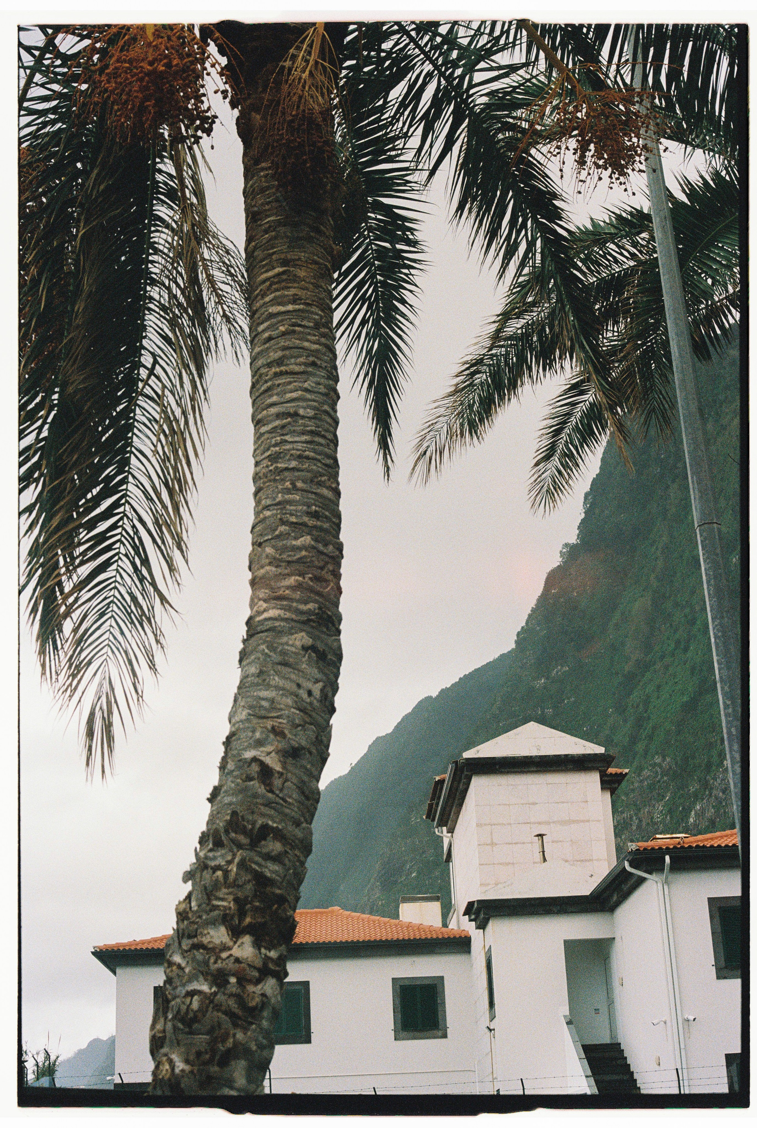 Madeira on film. Portrait photographer in Madeira — Marina Shtukina