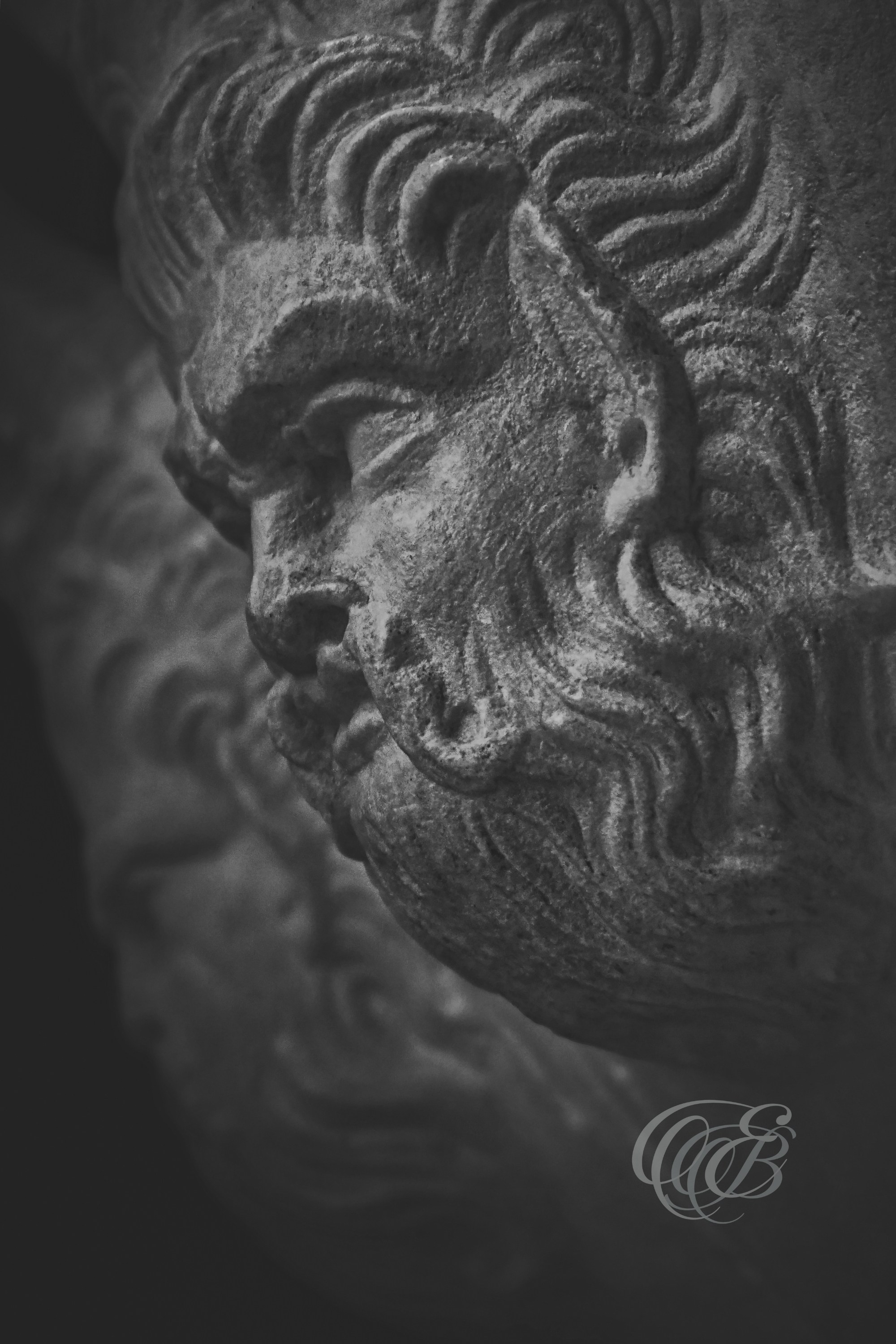 Rome Italy - Ancient marble vase in The Capitoline Museum - Eduardo Bartoli Fine Art Photography - Detail of an ancient marble vase in the Capitoline Museum, Rome – fine art photography by Eduardo Bartoli.
