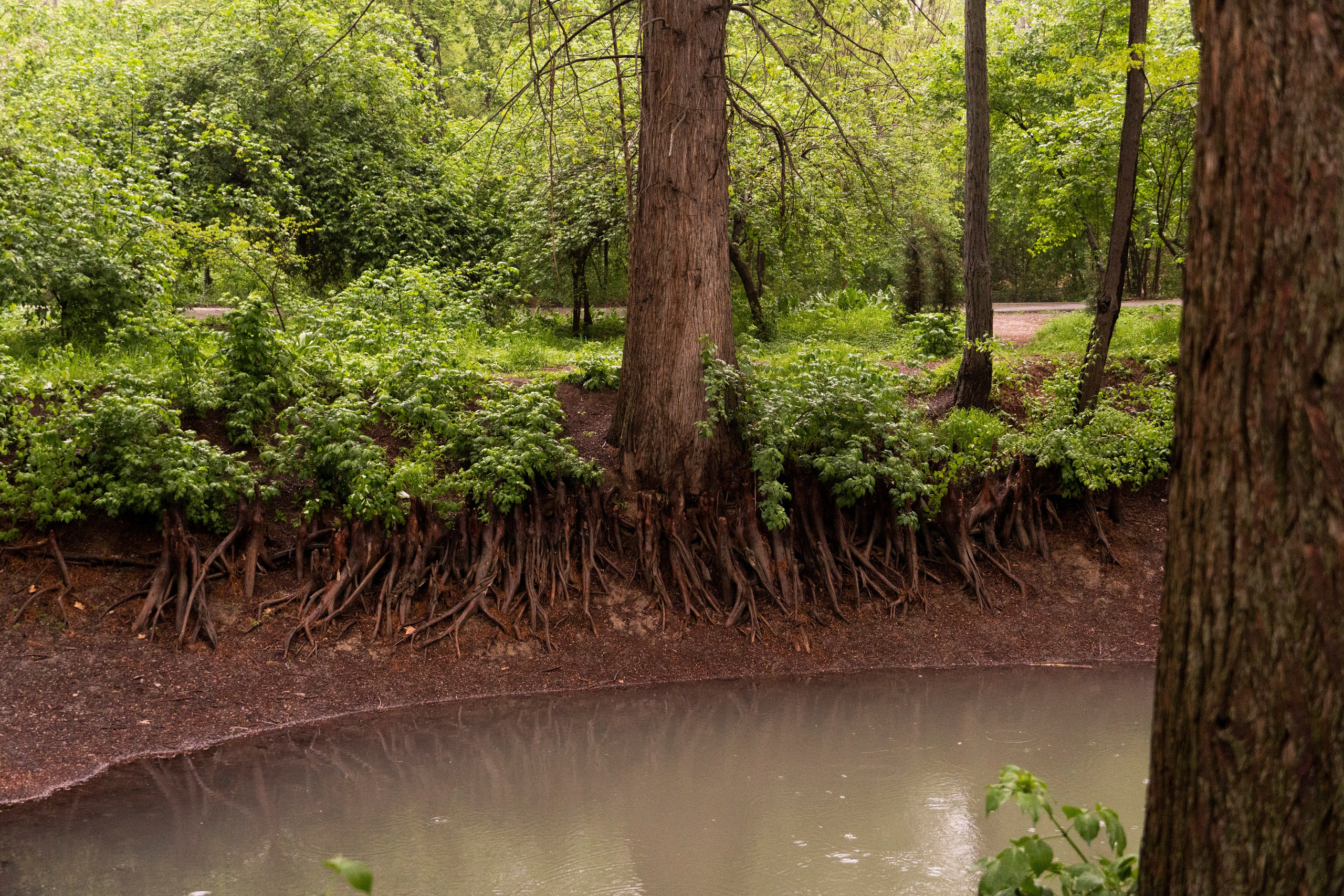 Landscape. Melikov Amir, Uzbekistan based photographer