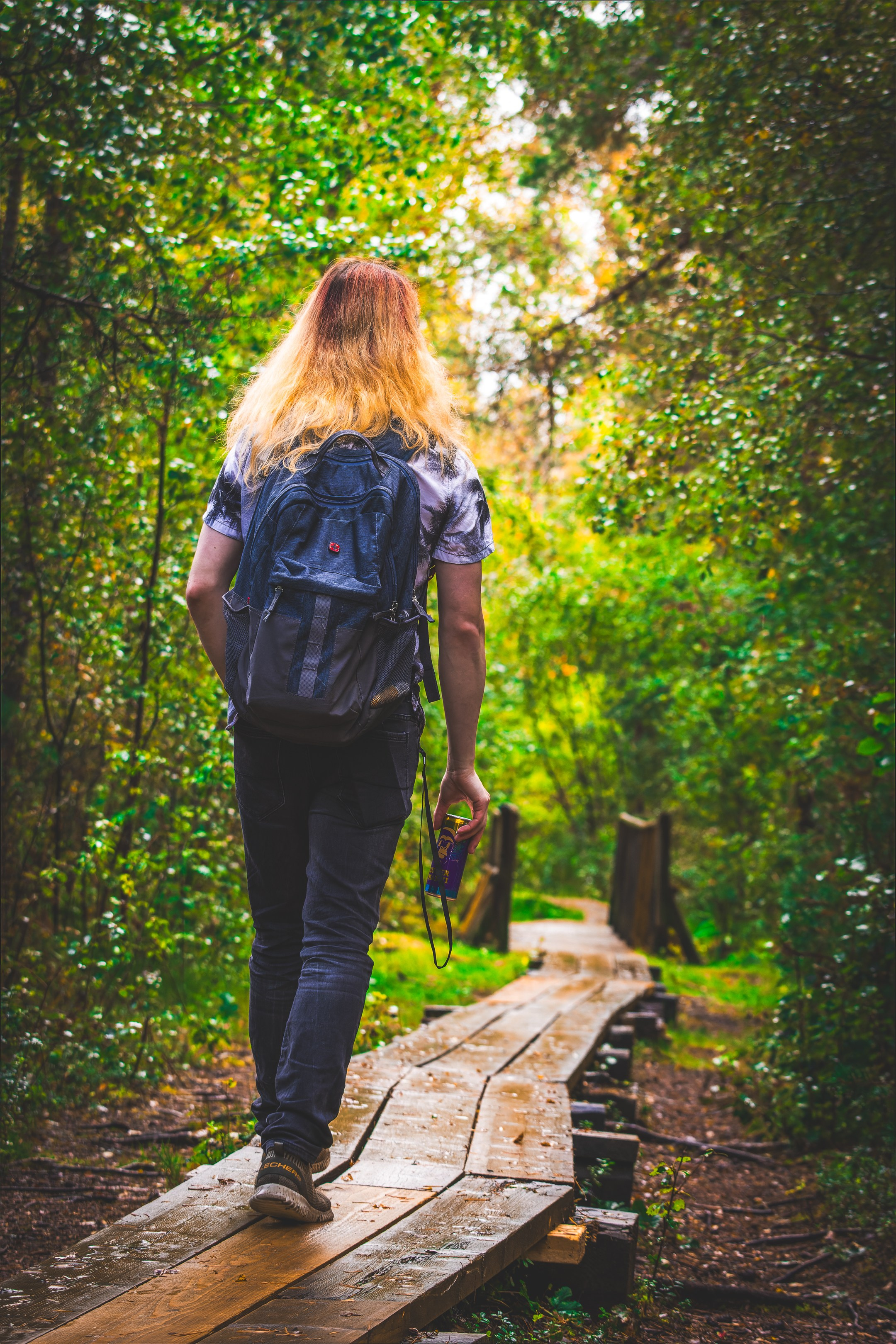 Mets, vihm ja jahedus (Dimitry). Nebula 25 — Fotod teie hingele