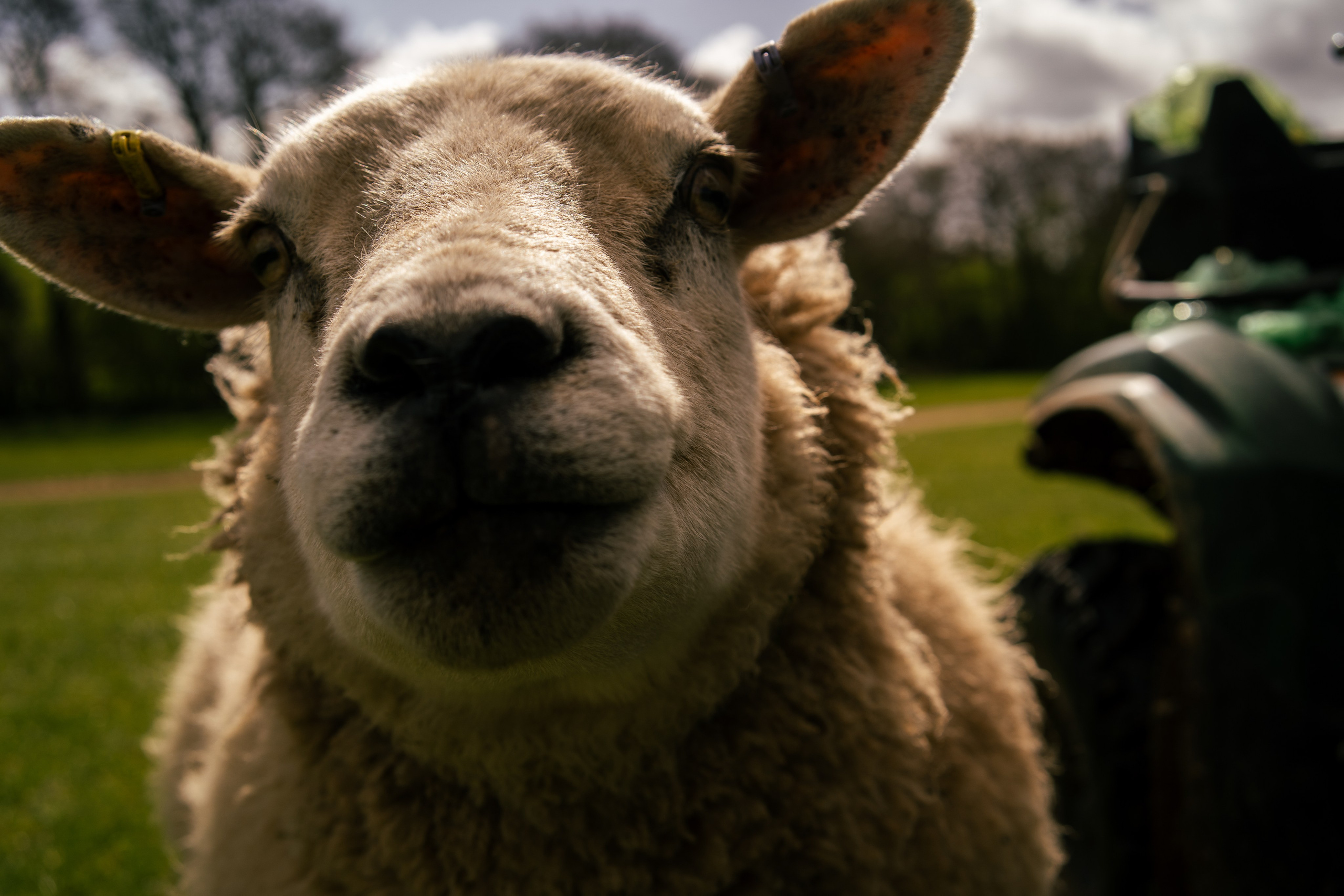 Farming. Ryan Hewitt Photographer