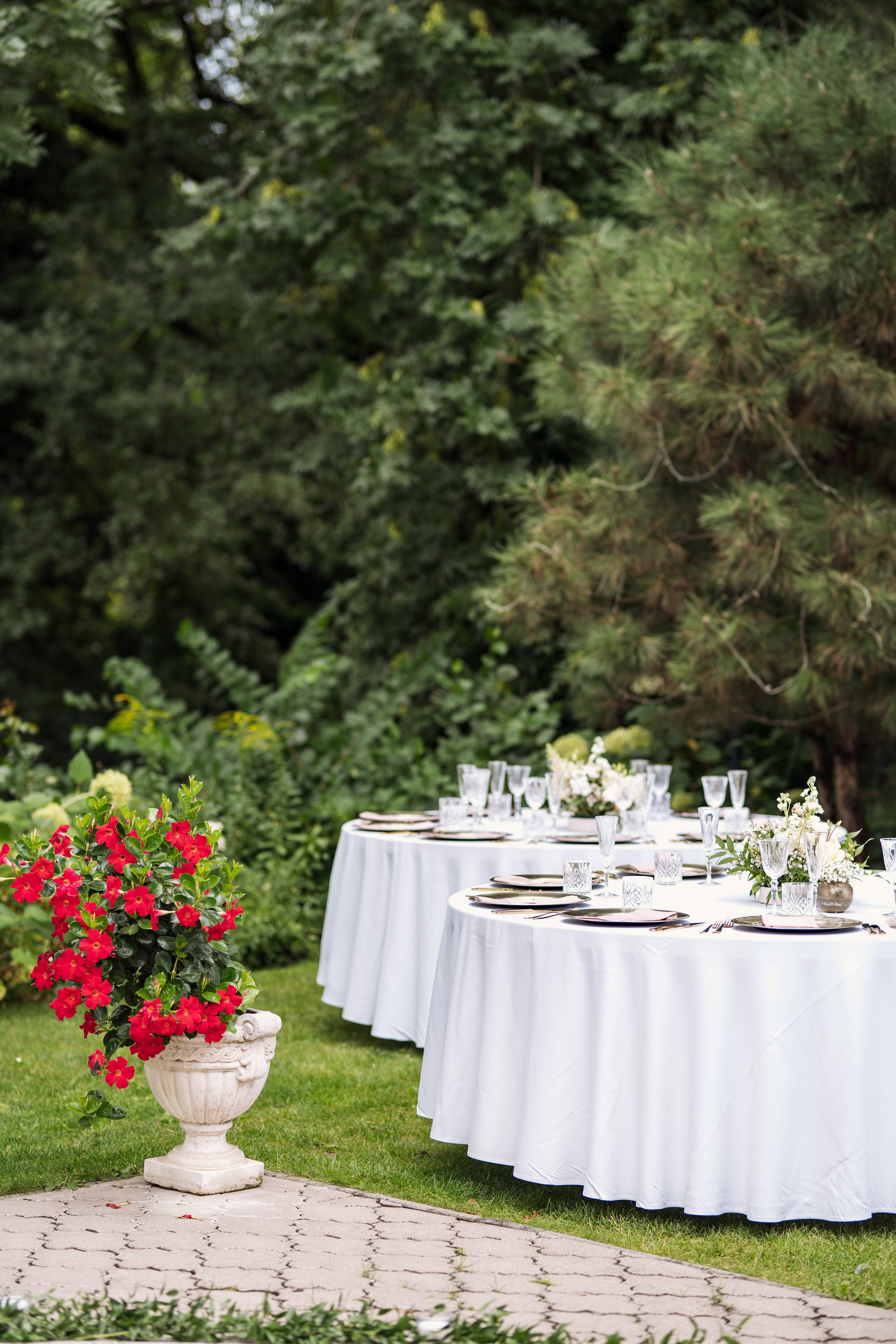 Fotógrafo de bodas en Madrid. Fotos de boda únicas y emocionantes. Fotógrafo en Madrid, España. Alyona Belyaninova