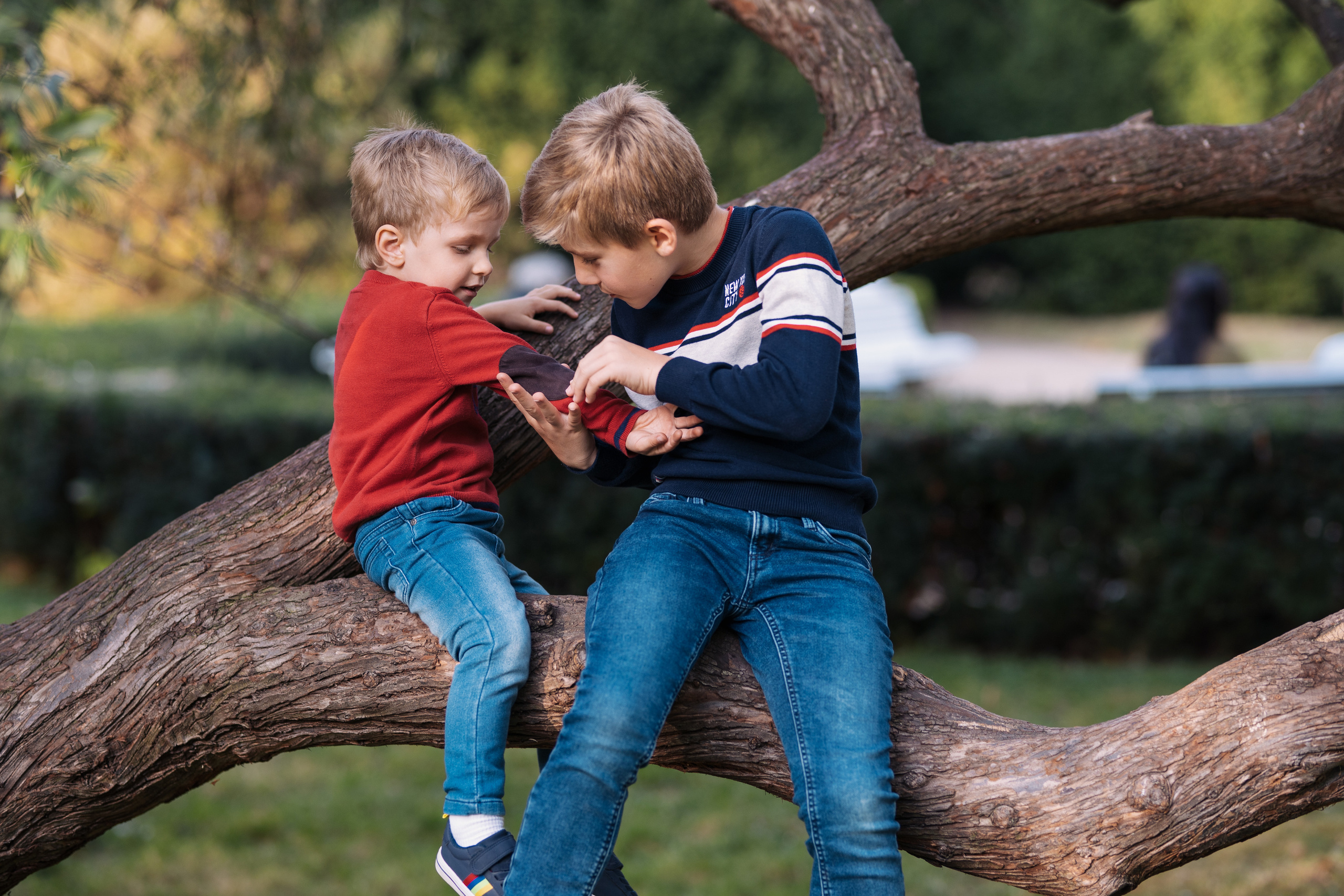 Fotógrafo de retratos familiares en Madrid. Fotógrafo en Madrid, España. Alyona Belyaninova