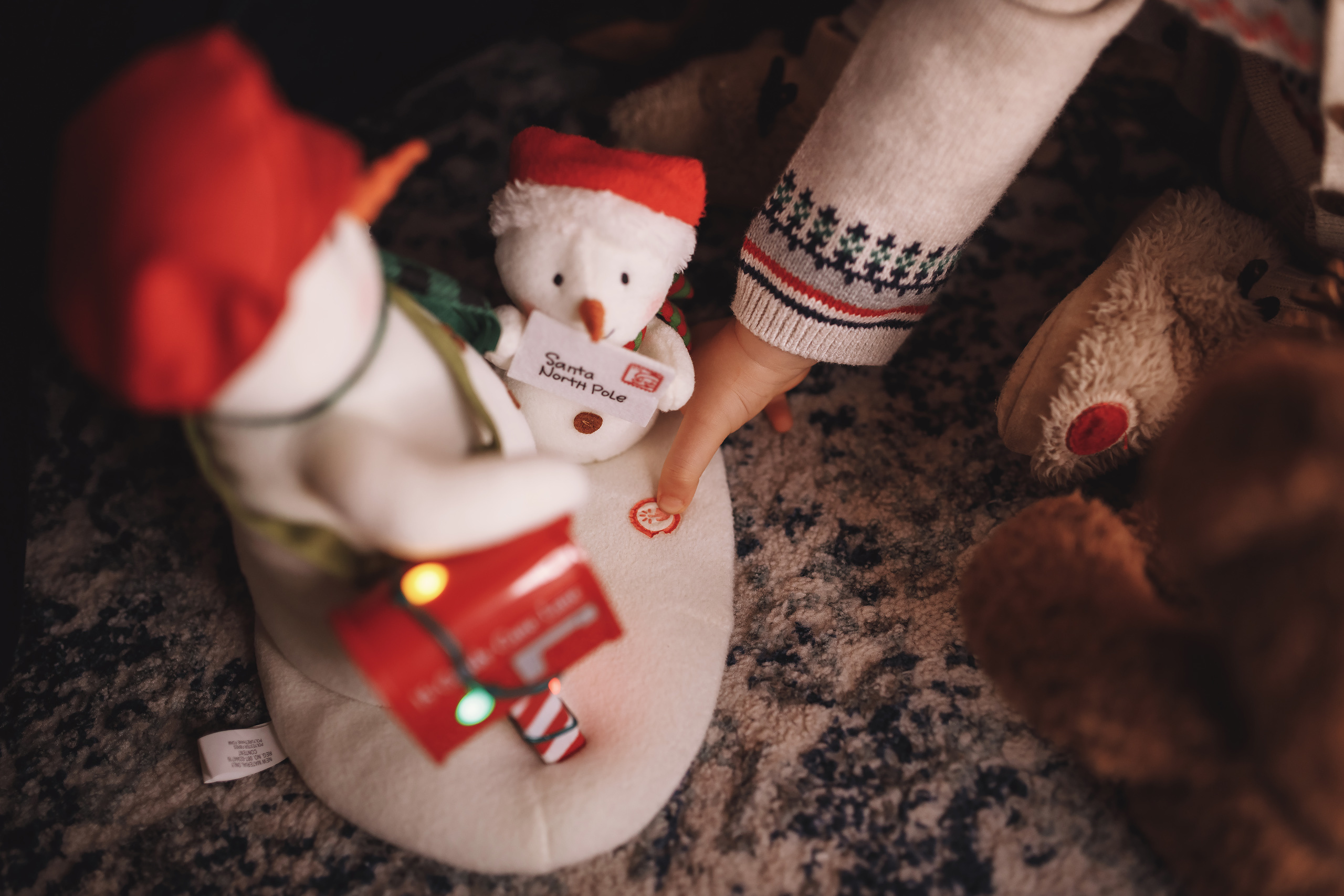 12.10.2019 Christmas Family Photoshoot 16. Wedding family event photographer in Chicago Nick Yushevich