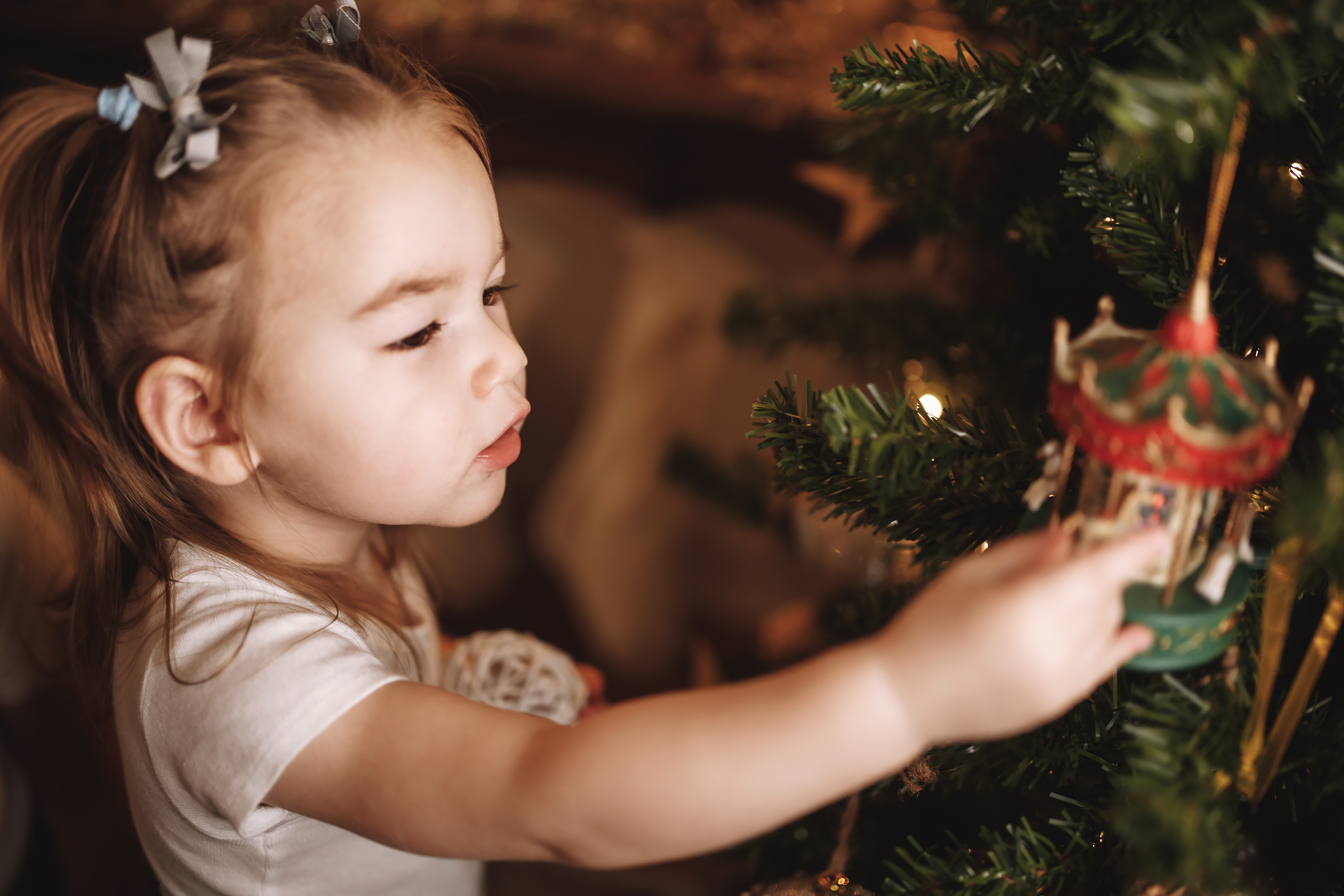 12.07.2019 Christmas Family Photoshoot 11. Wedding family event photographer in Chicago Nick Yushevich