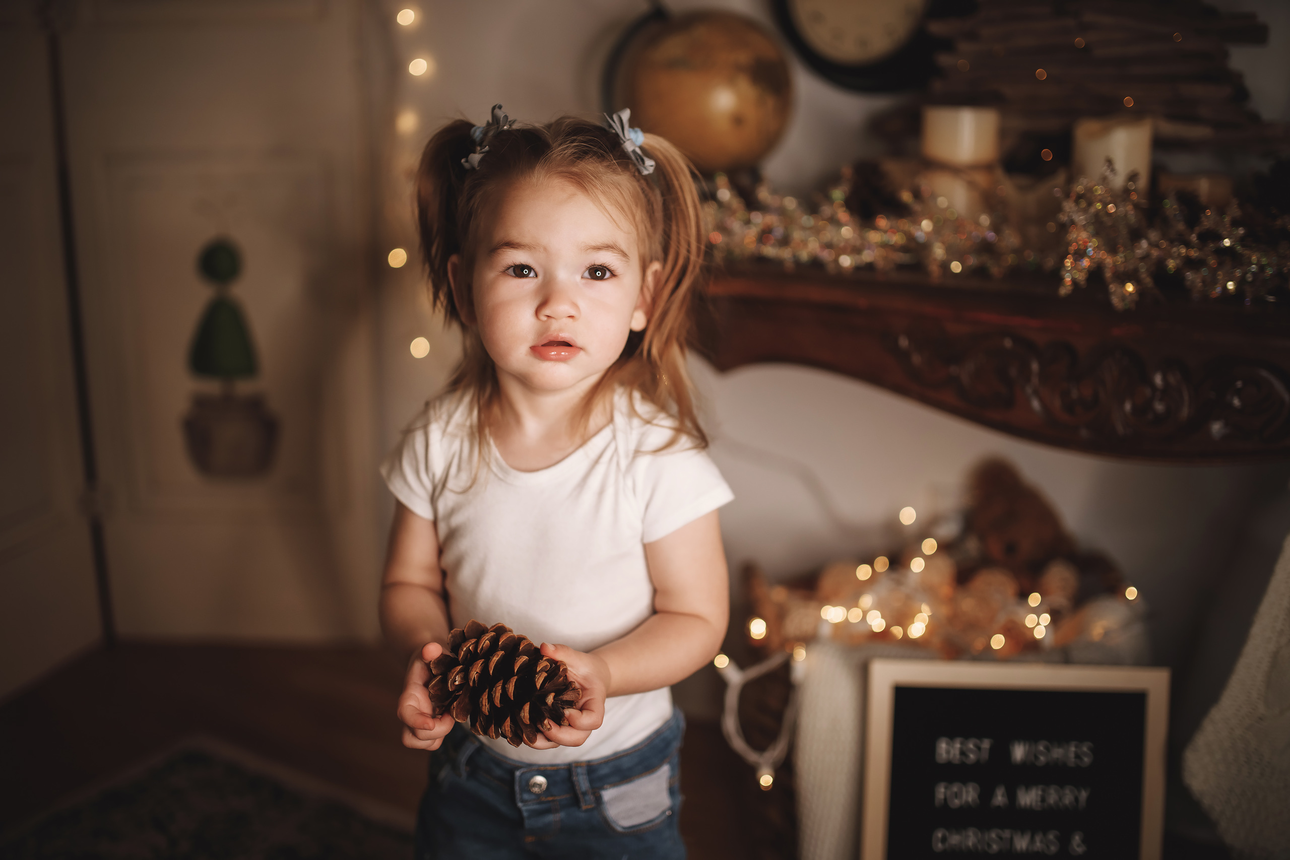 12.07.2019 Christmas Family Photoshoot 11. Wedding family event photographer in Chicago Nick Yushevich