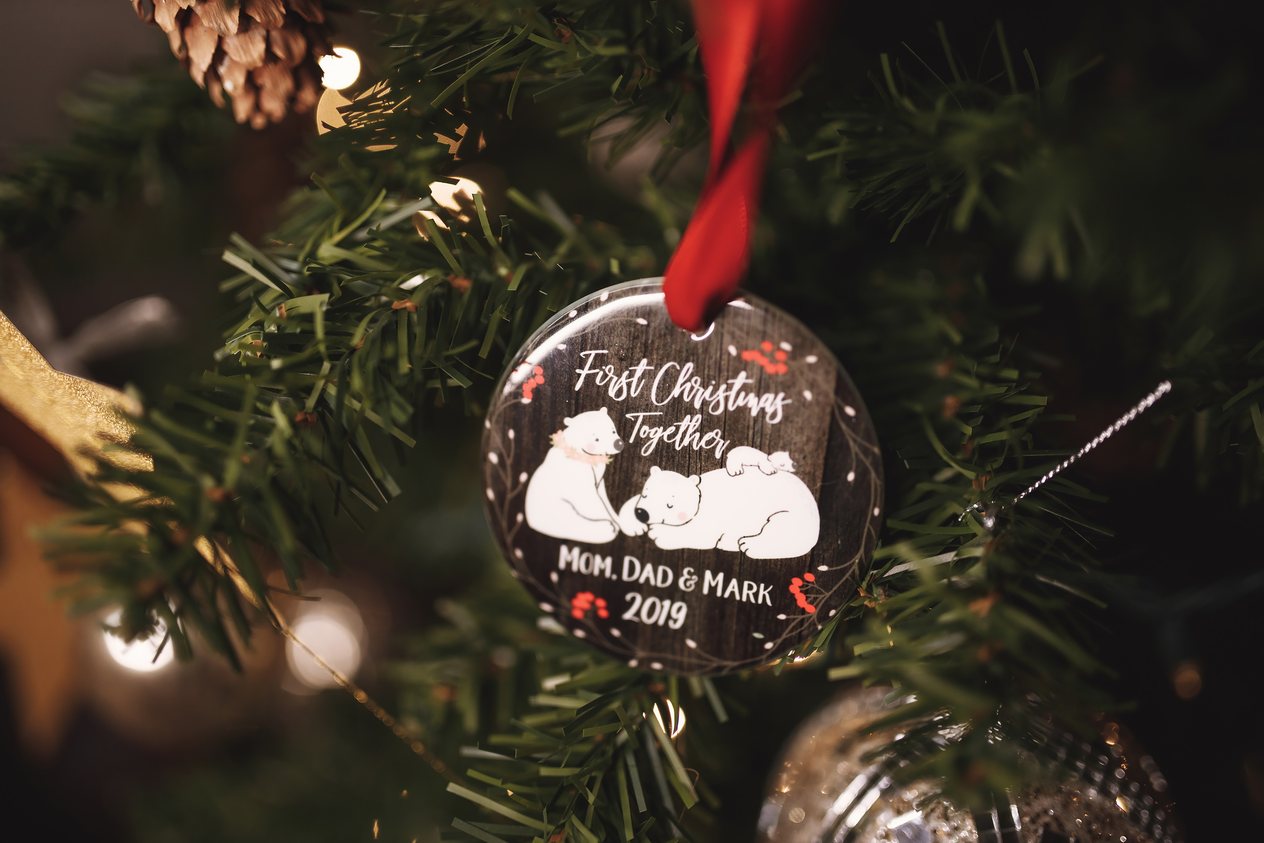 12.14.2019 Christmas Family Photoshoot 21. Wedding family event photographer in Chicago Nick Yushevich