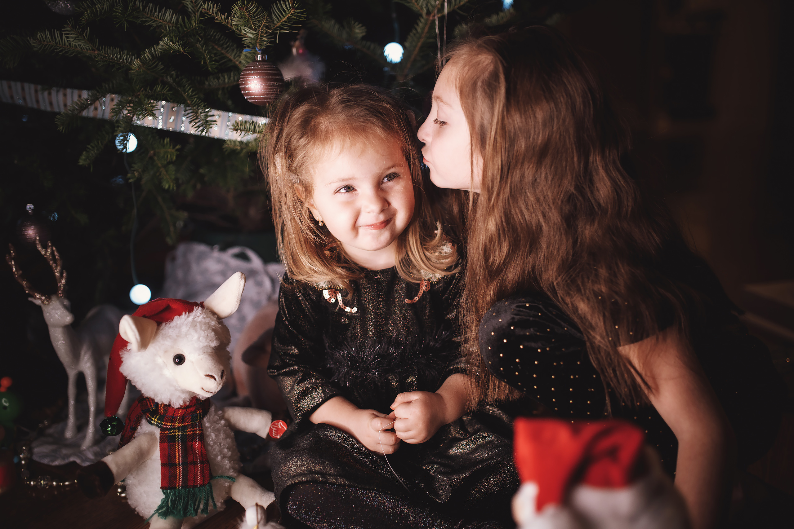 12.05.2019 Christmas Family Photoshoot. Wedding family event photographer in Chicago Nick Yushevich