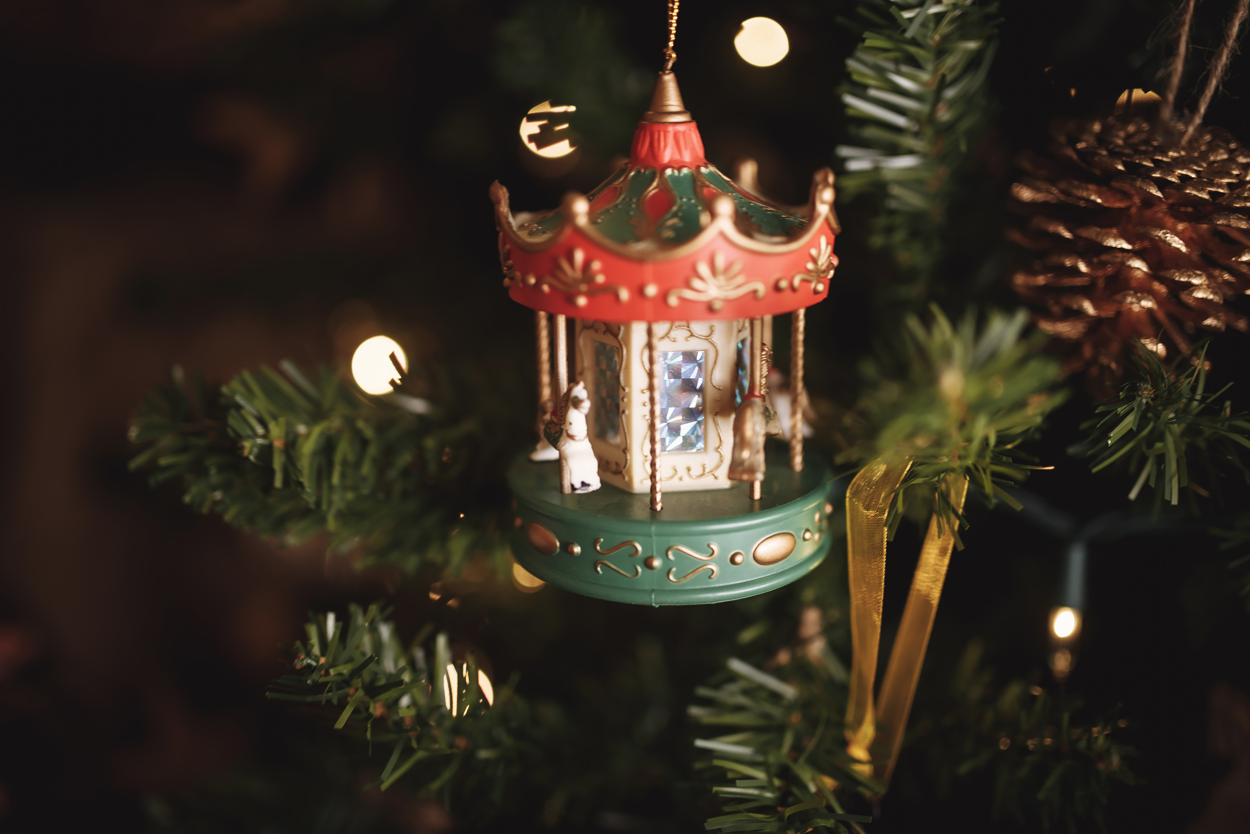 12.07.2019 Christmas Family Photoshoot 11. Wedding family event photographer in Chicago Nick Yushevich