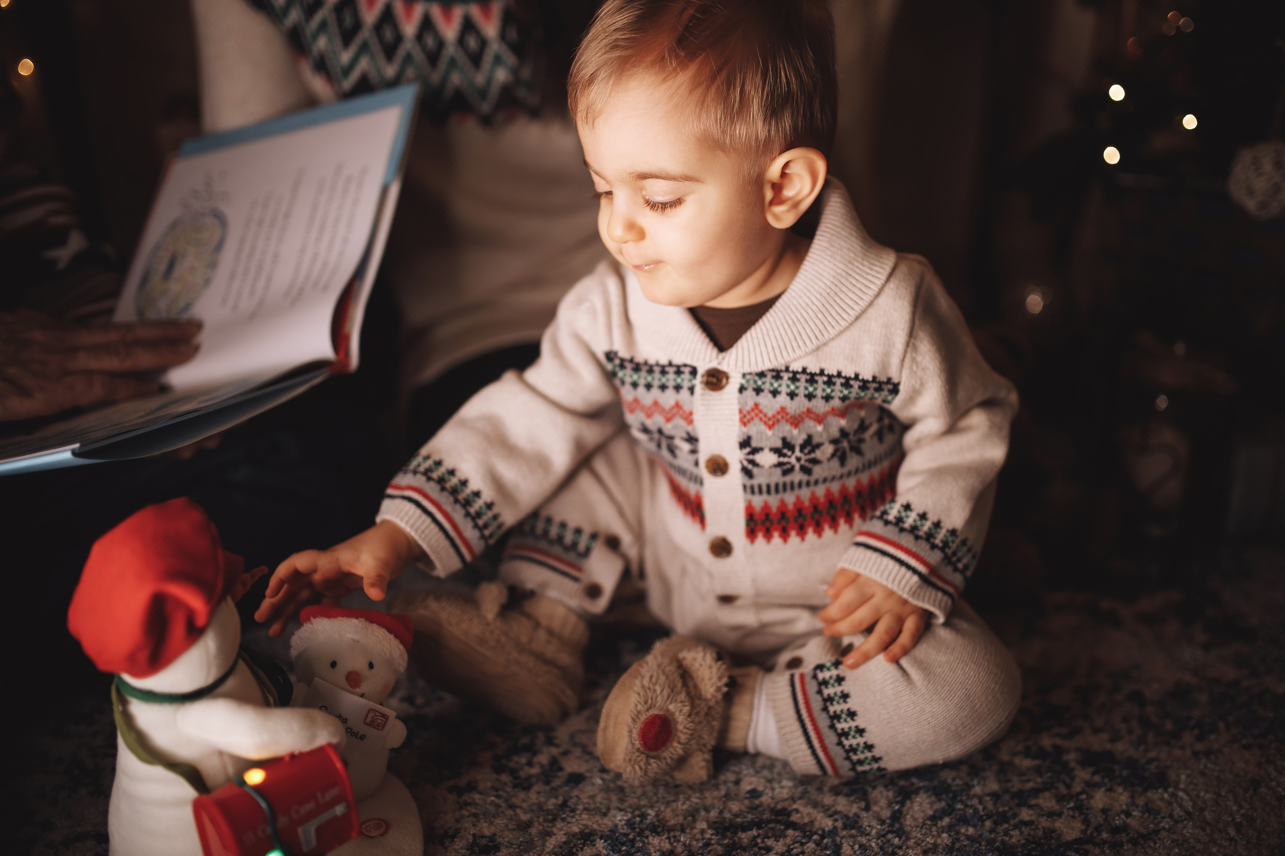 12.10.2019 Christmas Family Photoshoot 16. Wedding family event photographer in Chicago Nick Yushevich