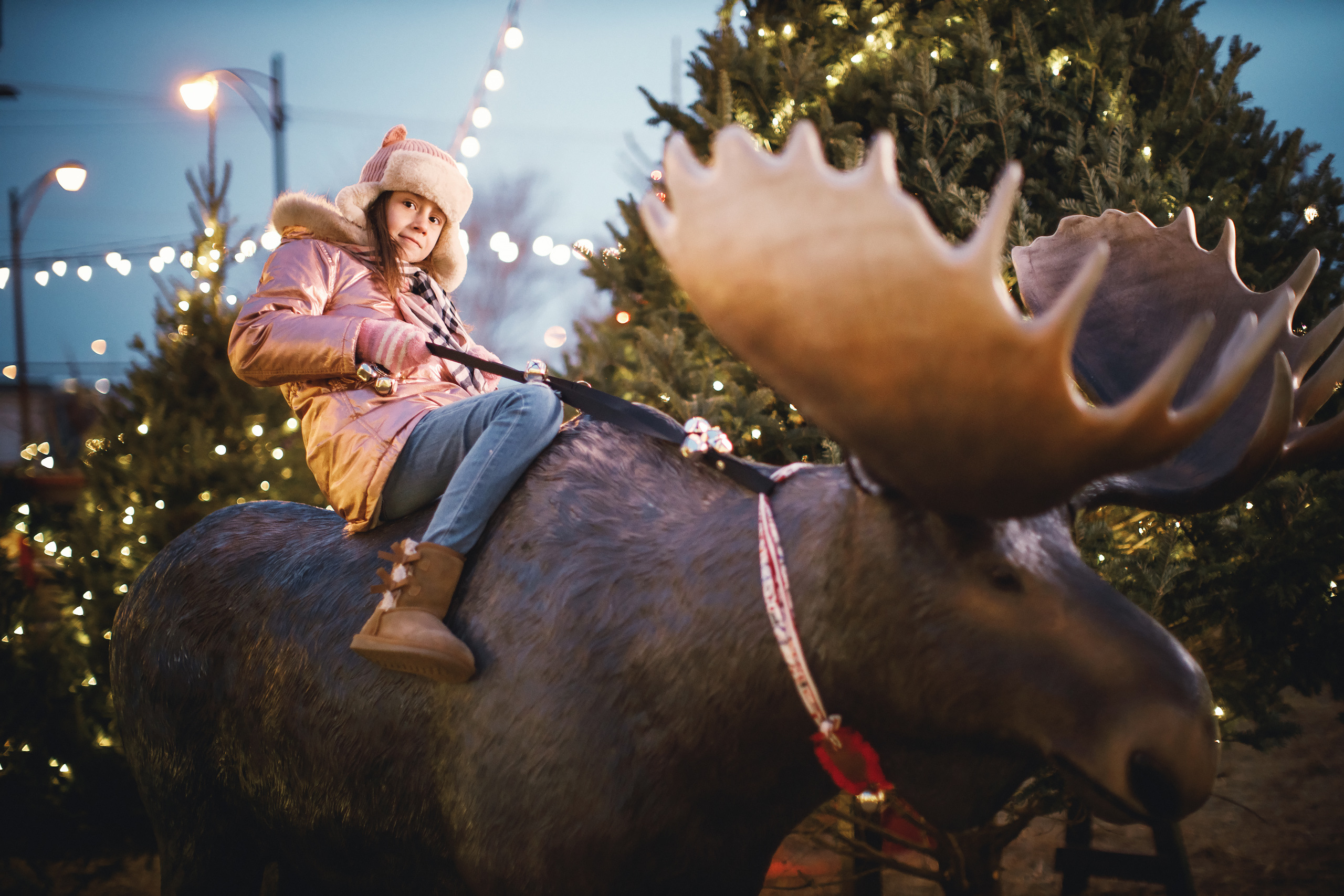 12.15.2019 Christmas Family Photoshoot. Wedding family event photographer in Chicago Nick Yushevich