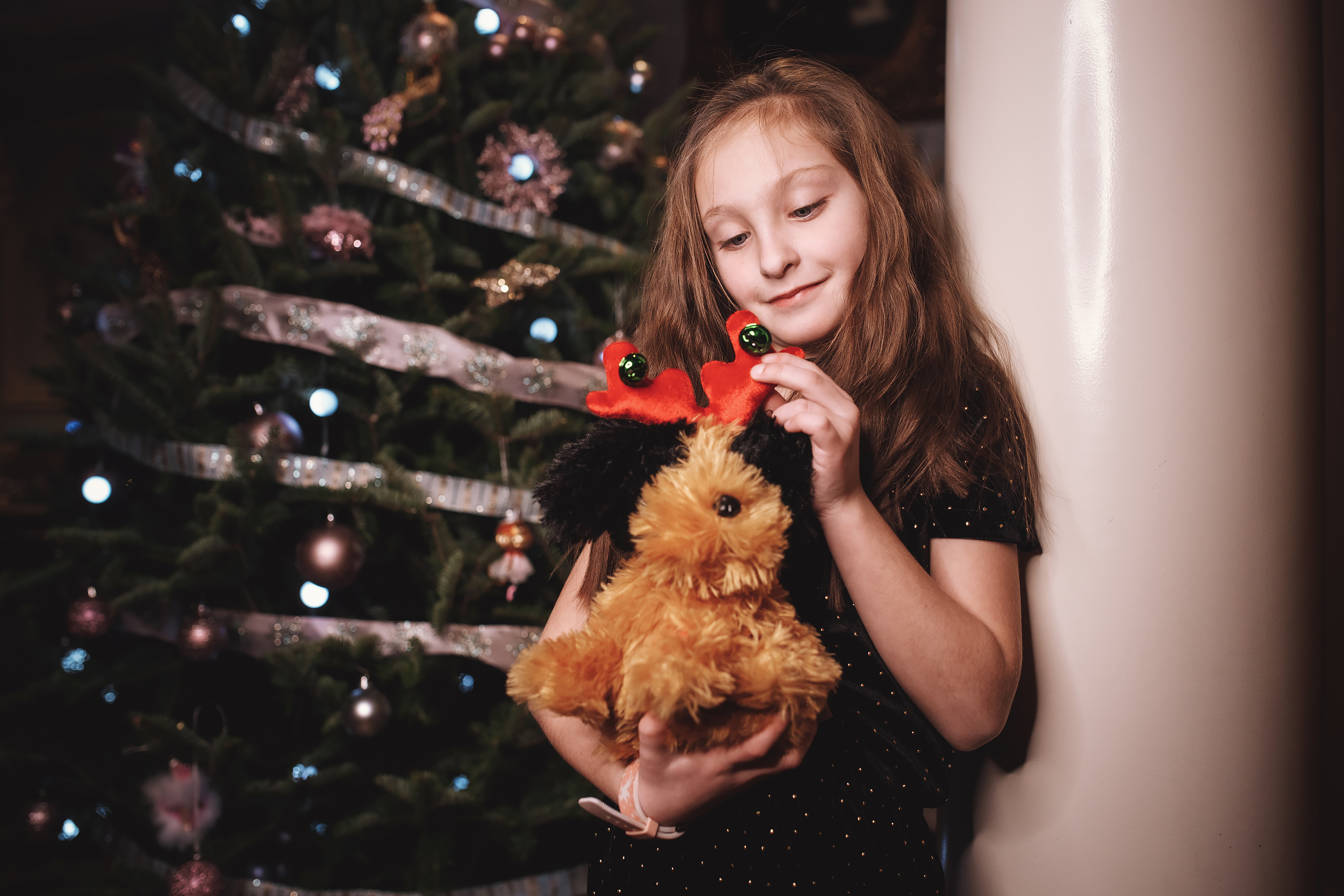 12.05.2019 Christmas Family Photoshoot. Wedding family event photographer in Chicago Nick Yushevich