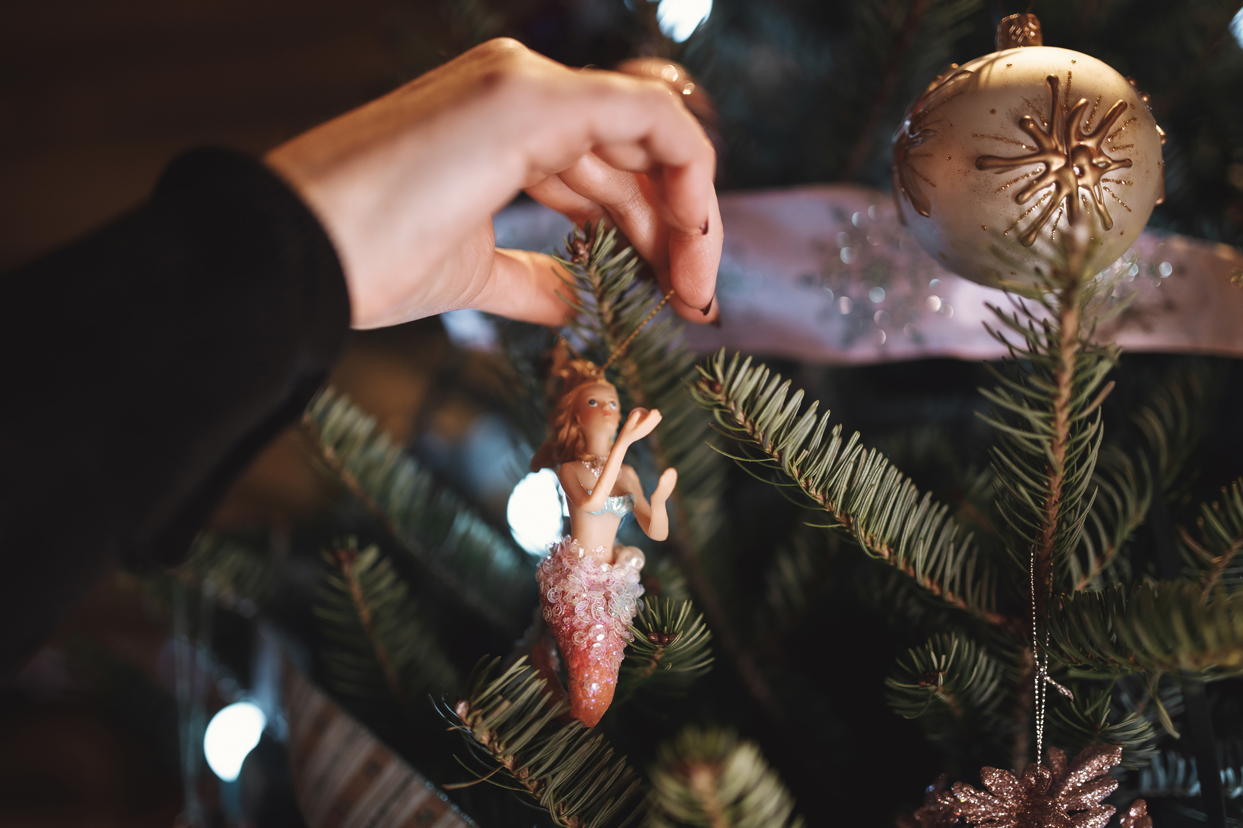 12.05.2019 Christmas Family Photoshoot. Wedding family event photographer in Chicago Nick Yushevich