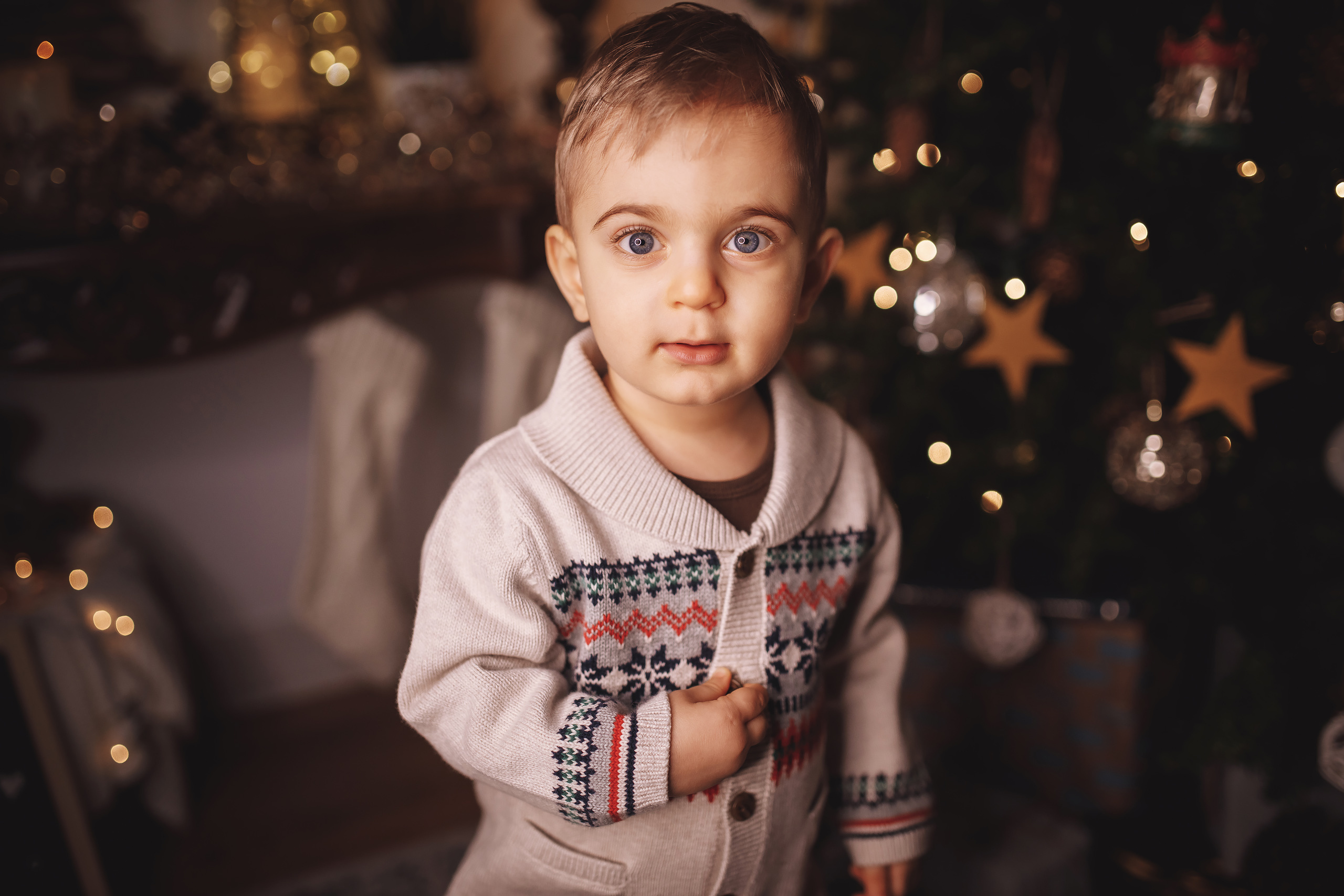 12.10.2019 Christmas Family Photoshoot 16. Wedding family event photographer in Chicago Nick Yushevich