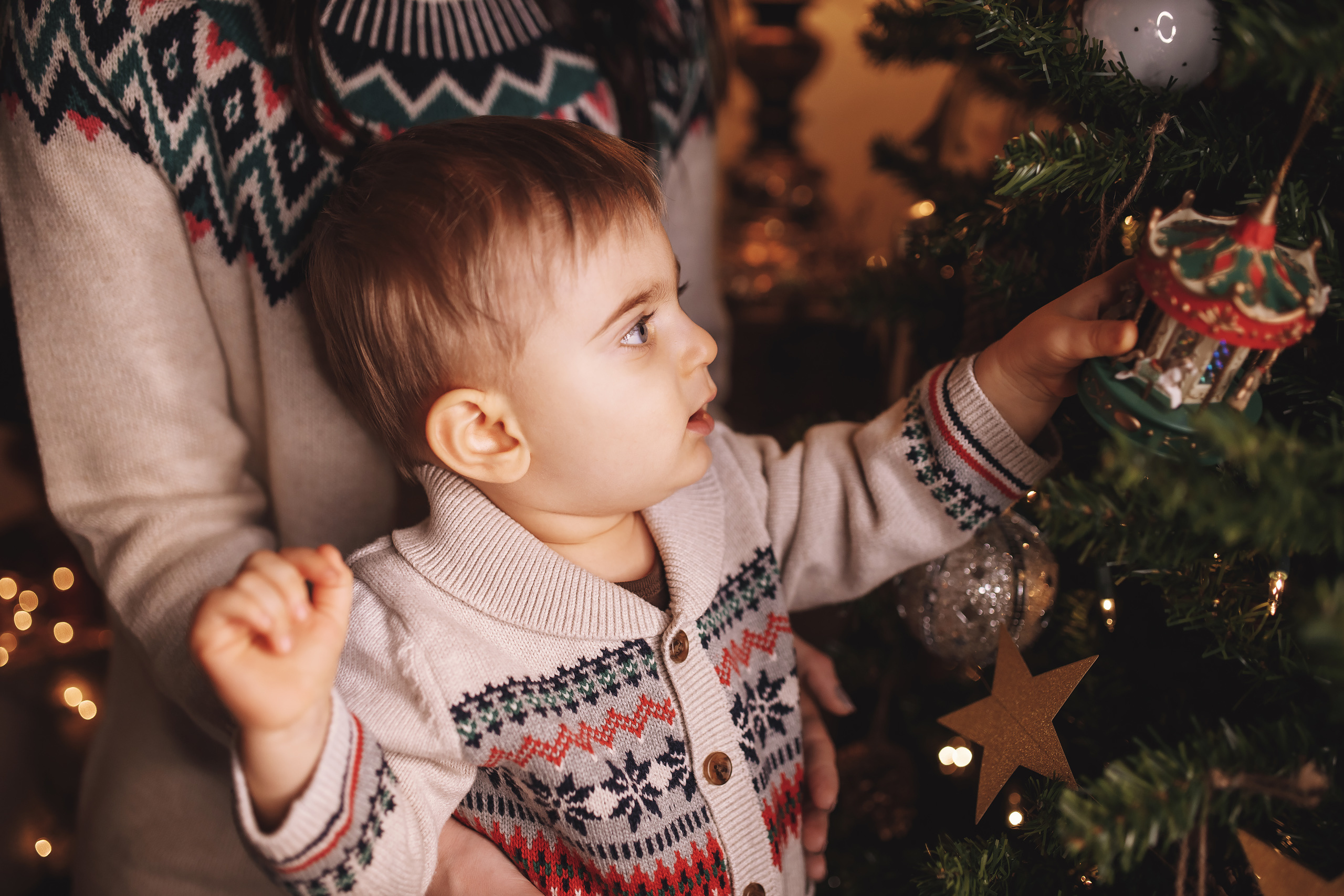 12.10.2019 Christmas Family Photoshoot 16. Wedding family event photographer in Chicago Nick Yushevich