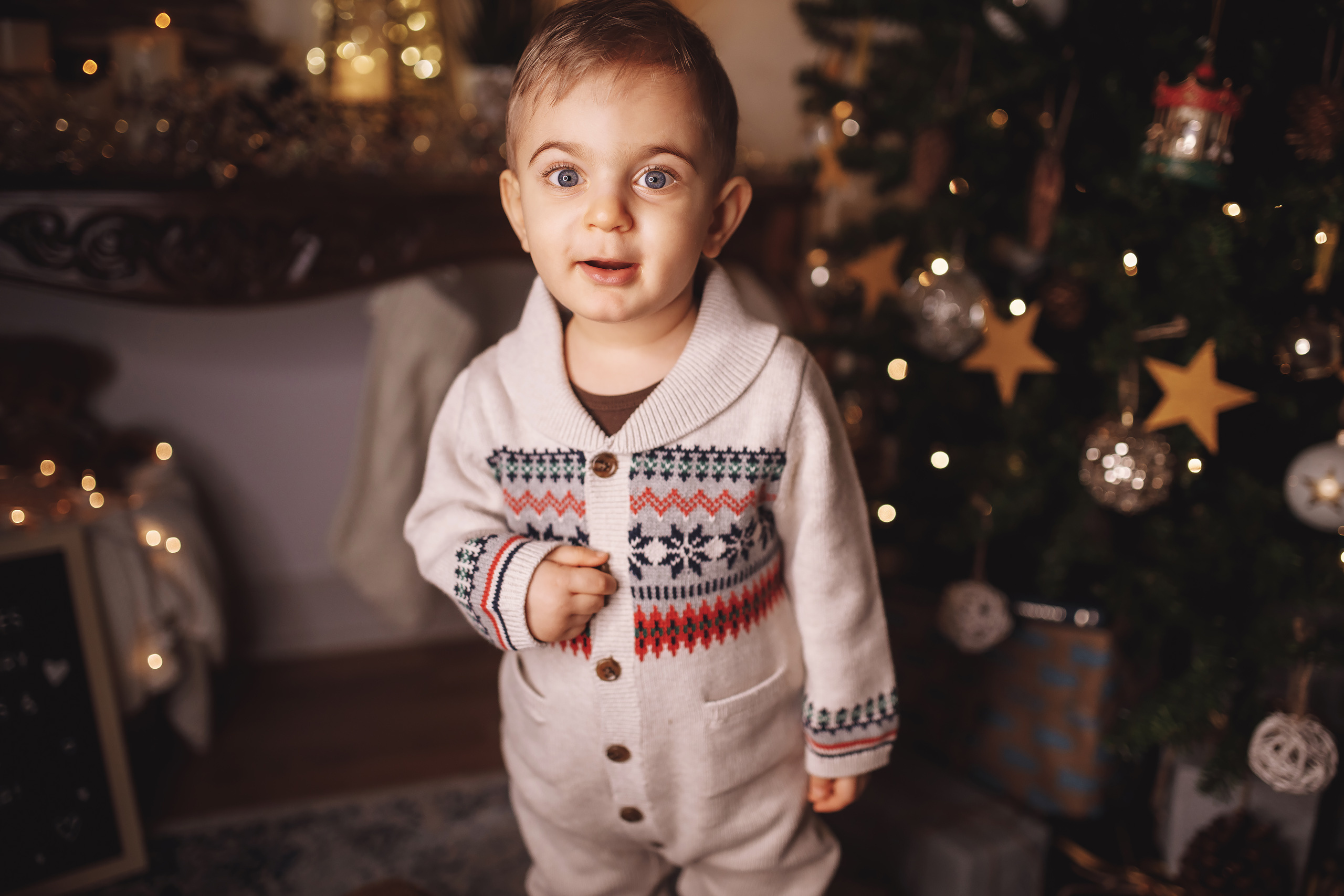 12.10.2019 Christmas Family Photoshoot 16. Wedding family event photographer in Chicago Nick Yushevich