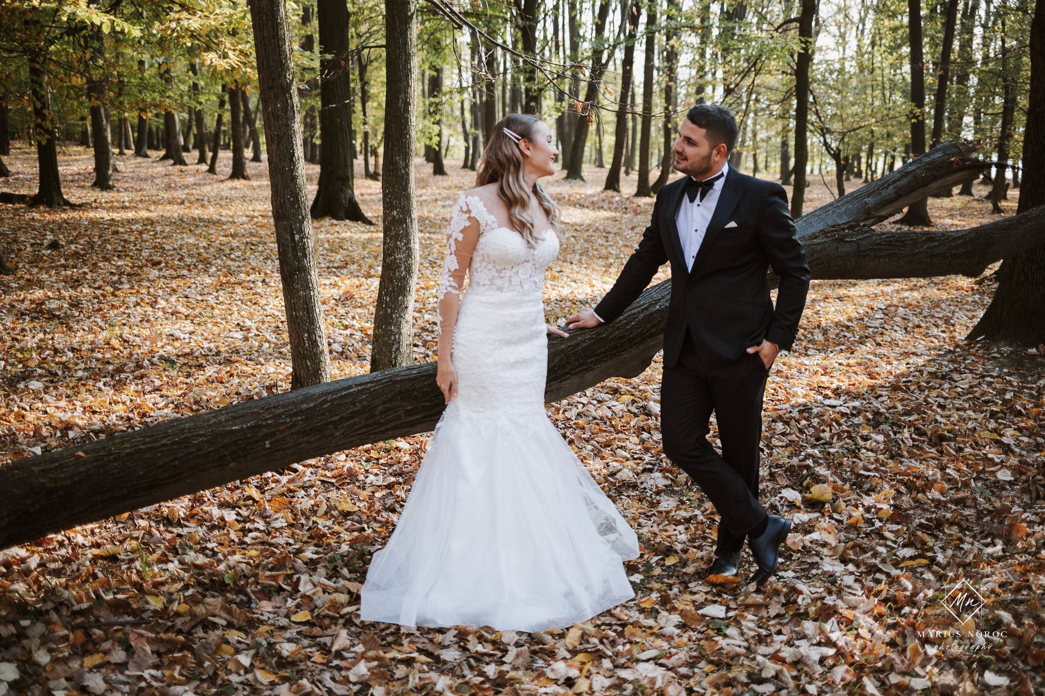 Alexandra & Laurentiu | Padurea Bucium Iasi