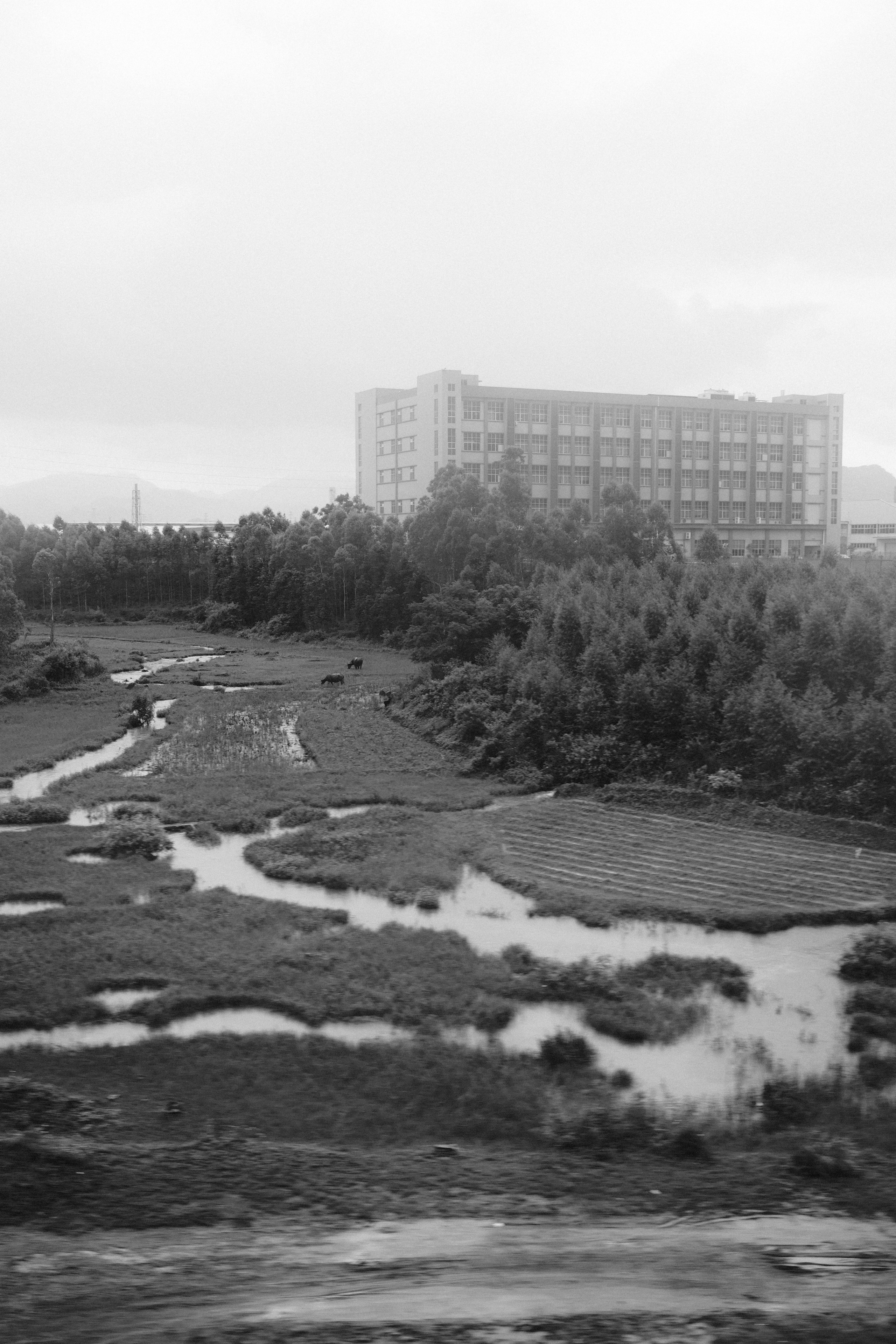 Yangshuo China Guiling. Фотограф В Гуанчжоу и Шэньчжэнь Андрей Лопатин