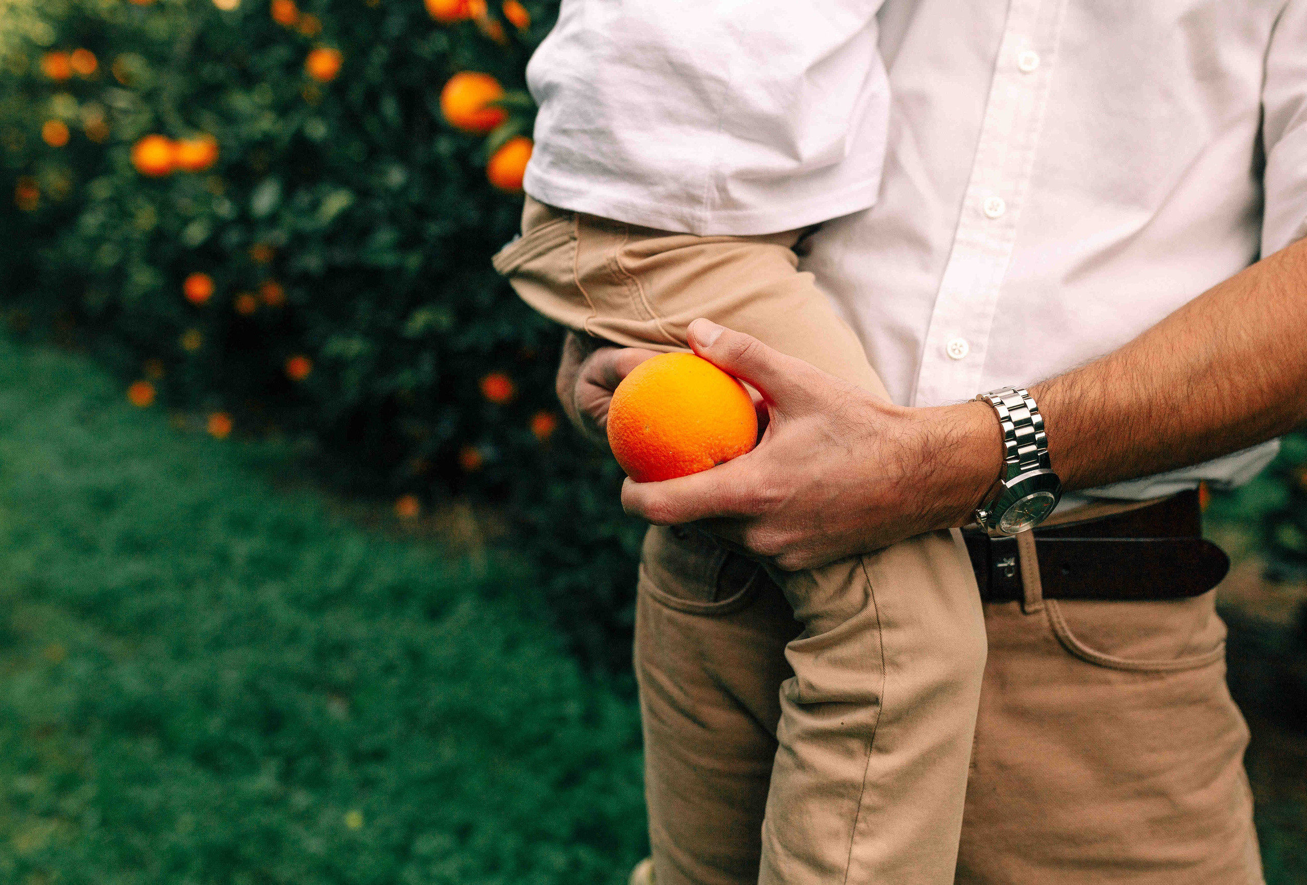 MANDARNINE GARDEN. Https://shi-photo.com/