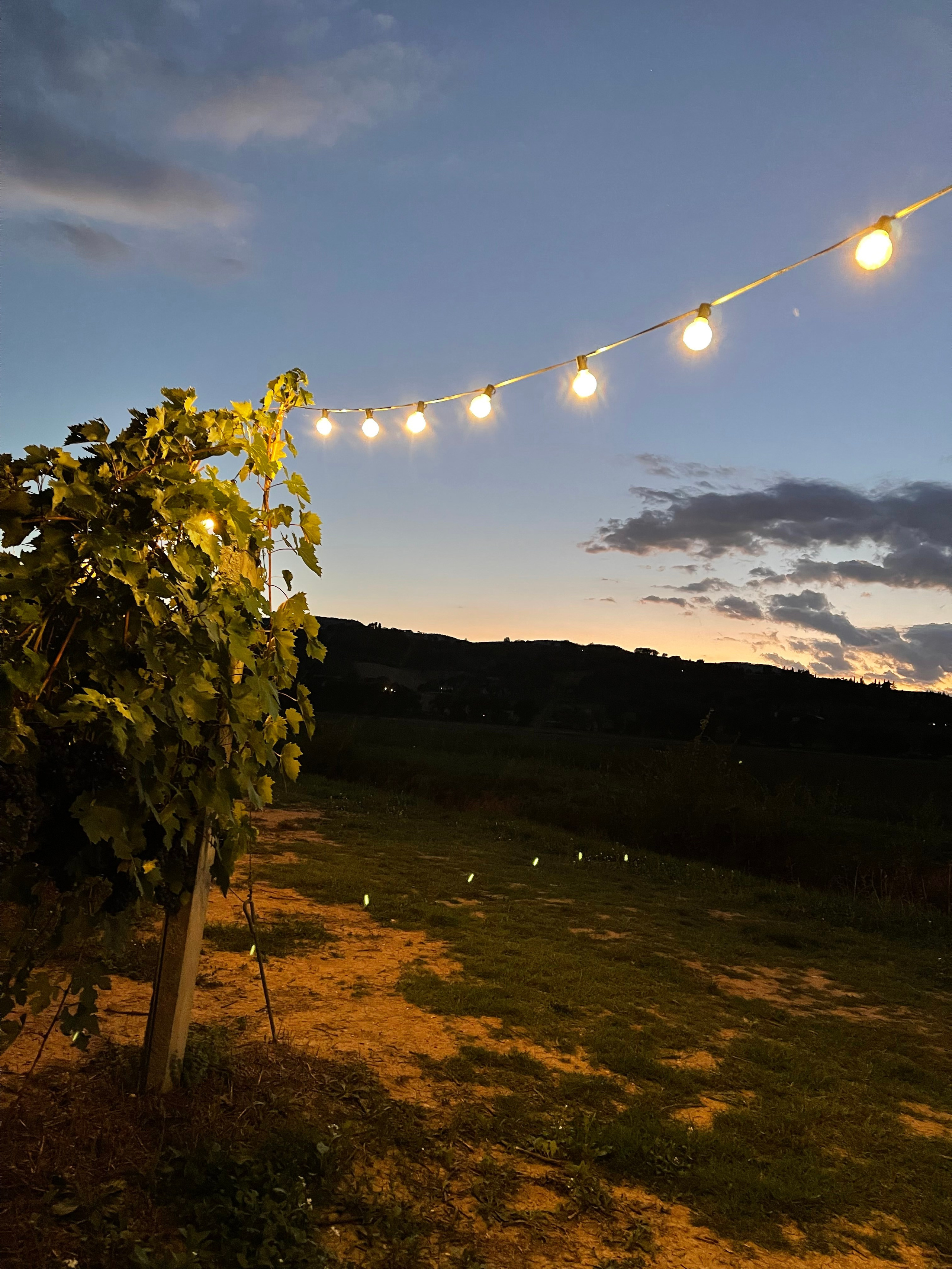 Places. Sensory Luxury Tours — Exclusive Private Journeys in Umbria and Tuscany