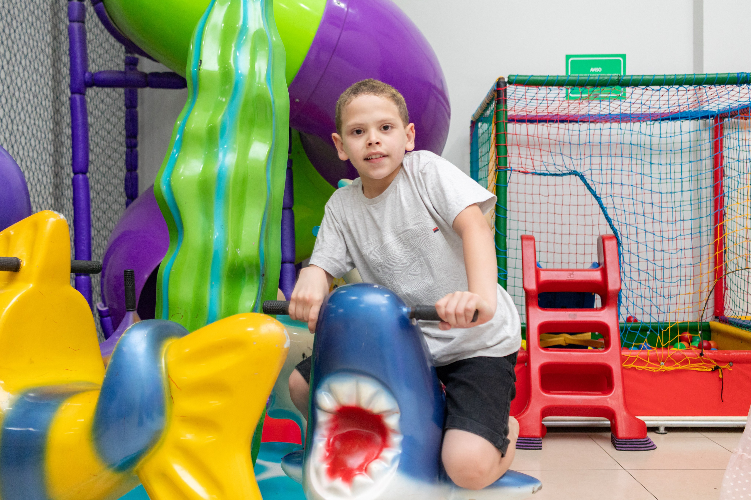 Alice — Aniversário 5 anos. Principal