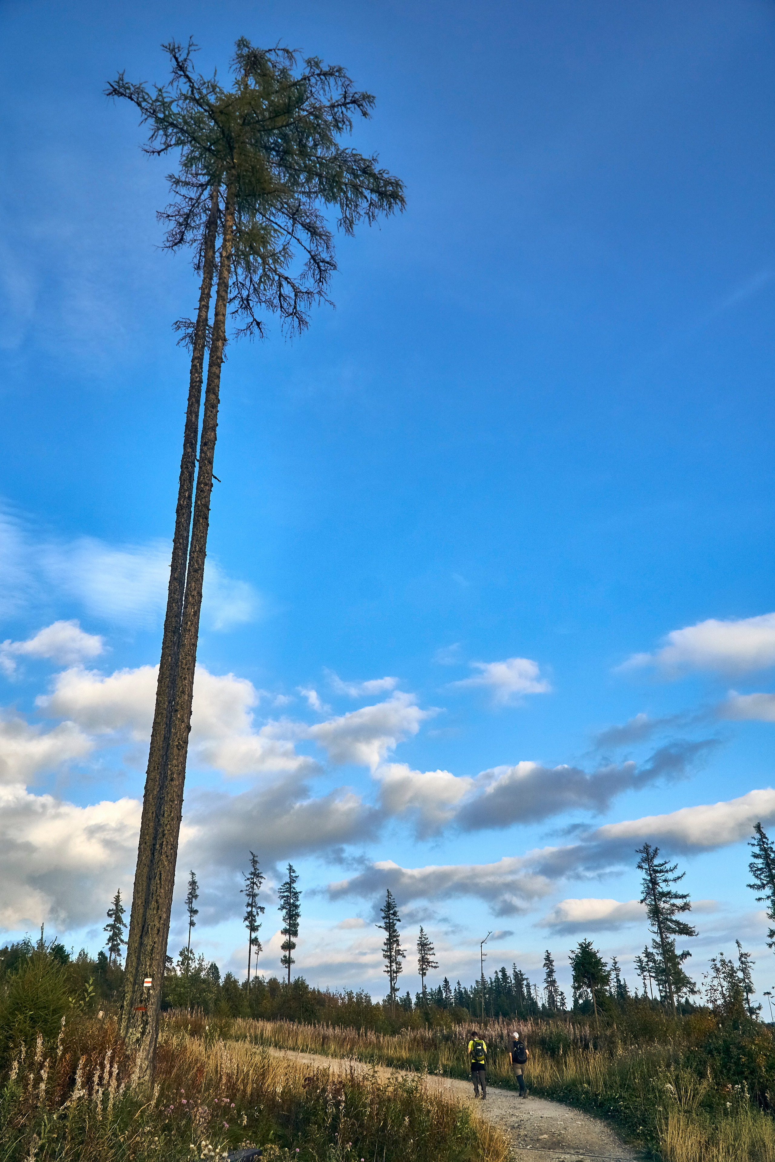 Татры. Андрей Шипилов — Фотография & Видеография