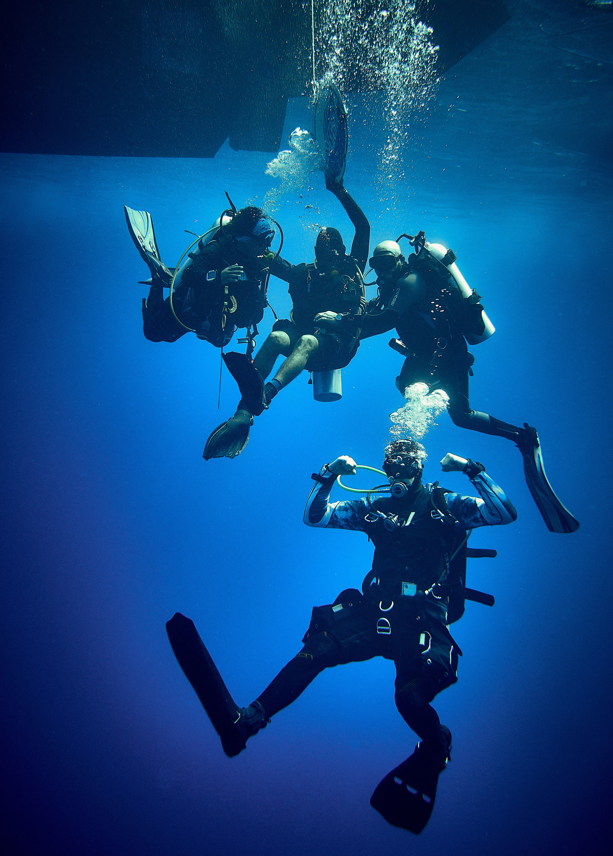 Portrety podwodne. Андрей Шипилов — Фотография & Видеография