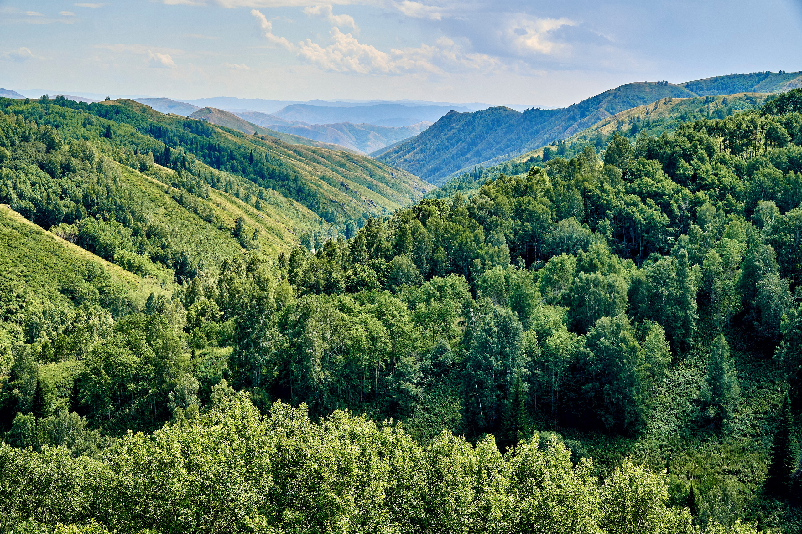 Buchtarma (Kazachstan). Andriej Szypilow - Fotografia & Wideografia