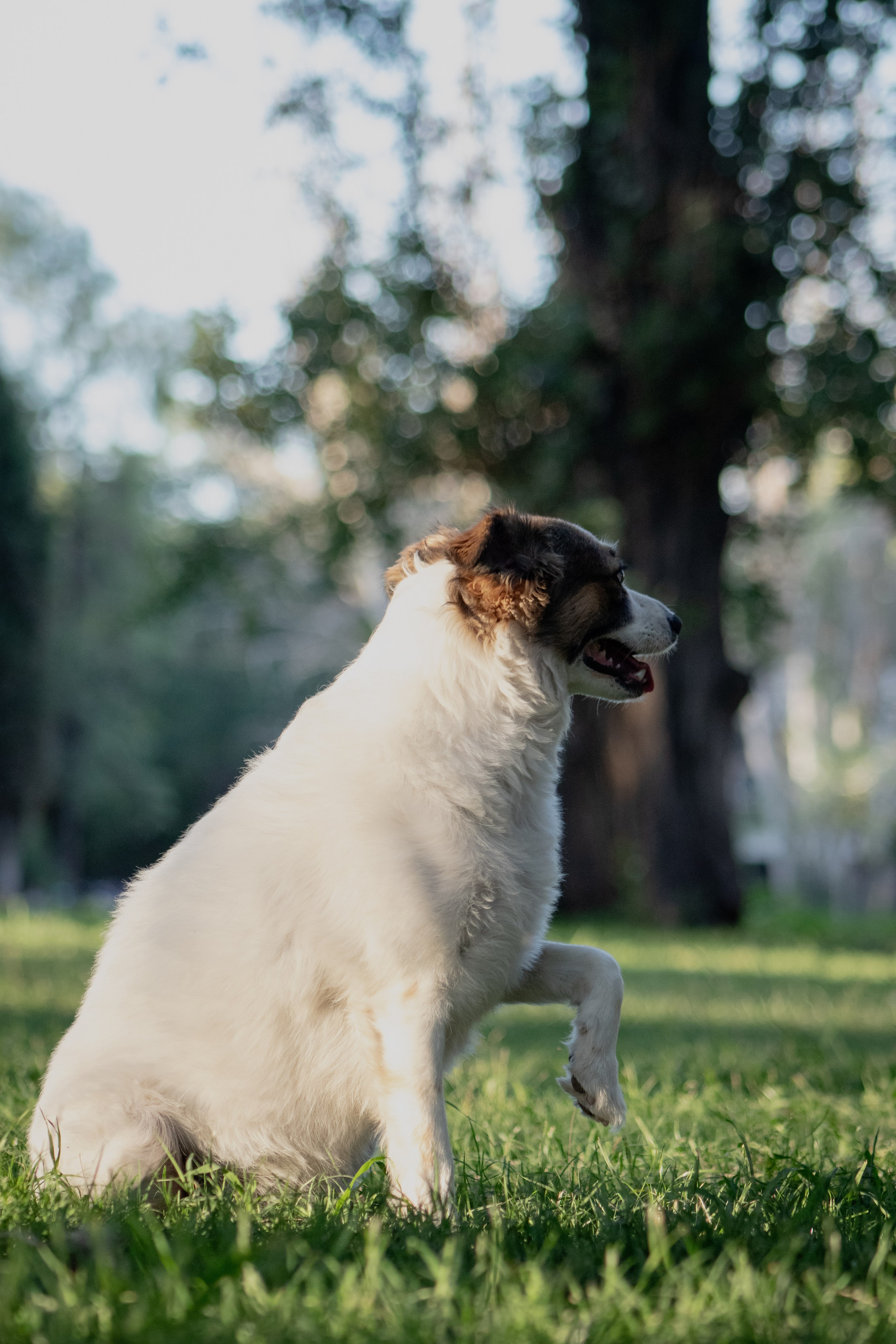 foto en parque San Martin