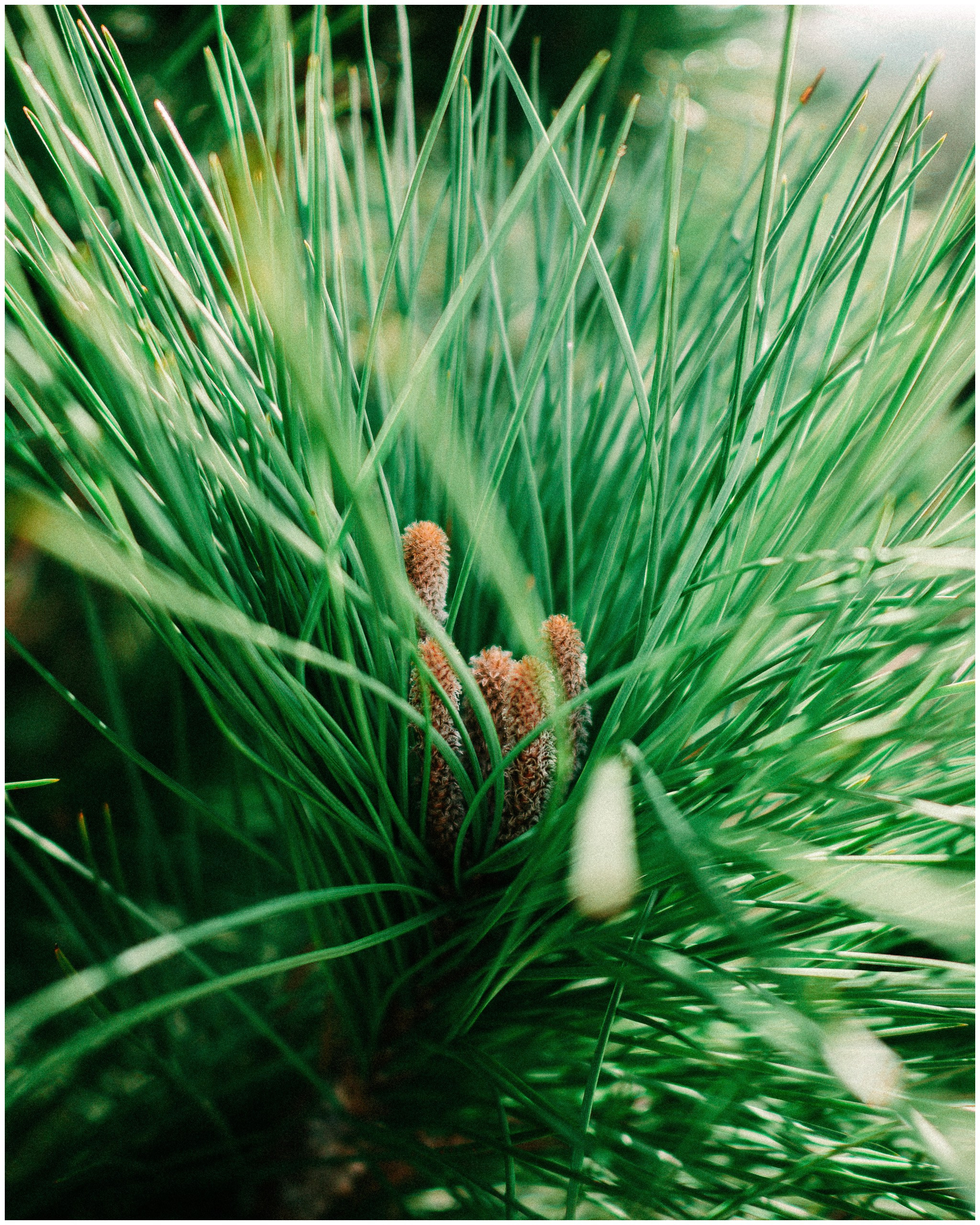 BARCELONA. Inna Mendelson — Photographer