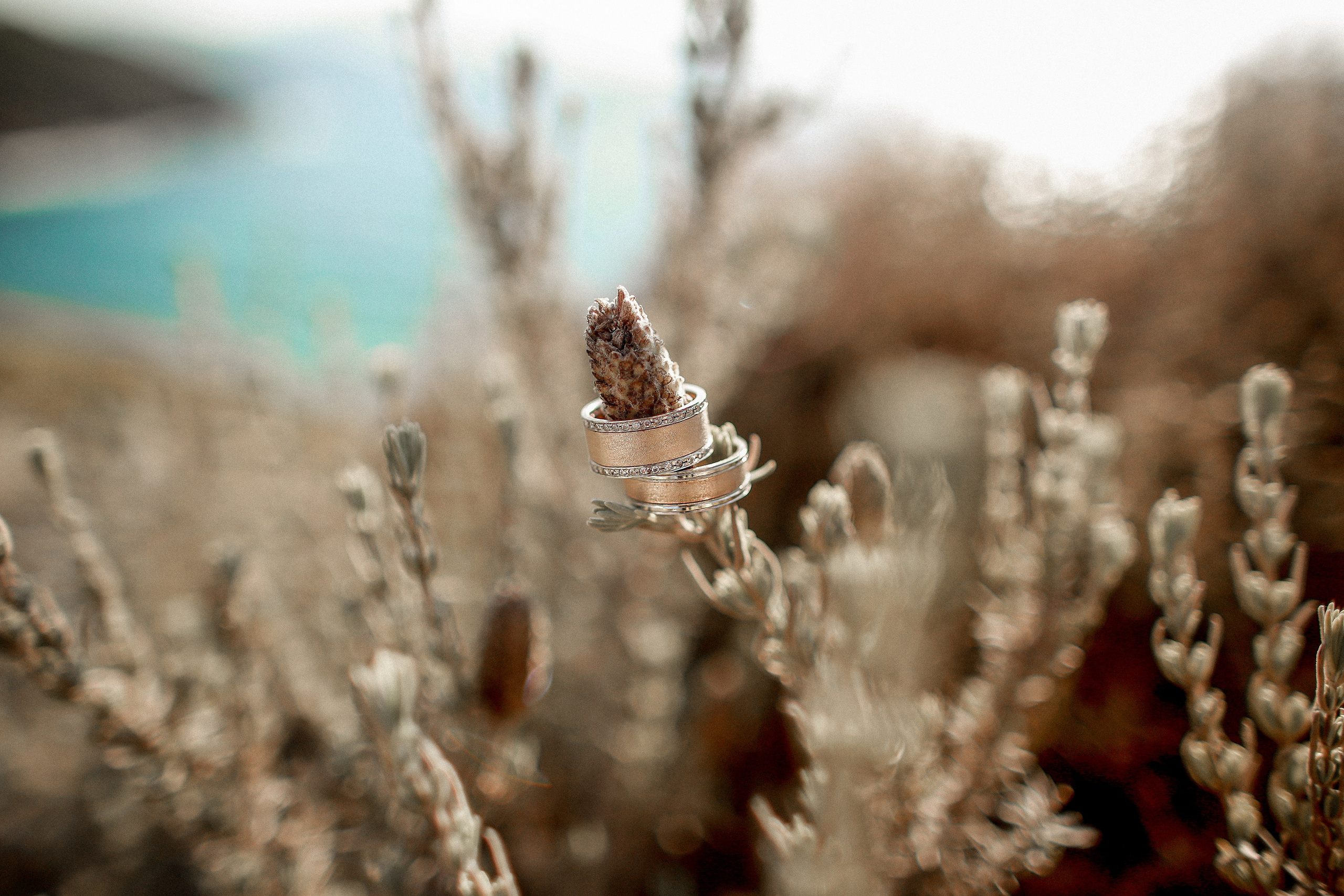 Свадебная фотосессия за городом. Professional photo & video in Marmaris Turkey