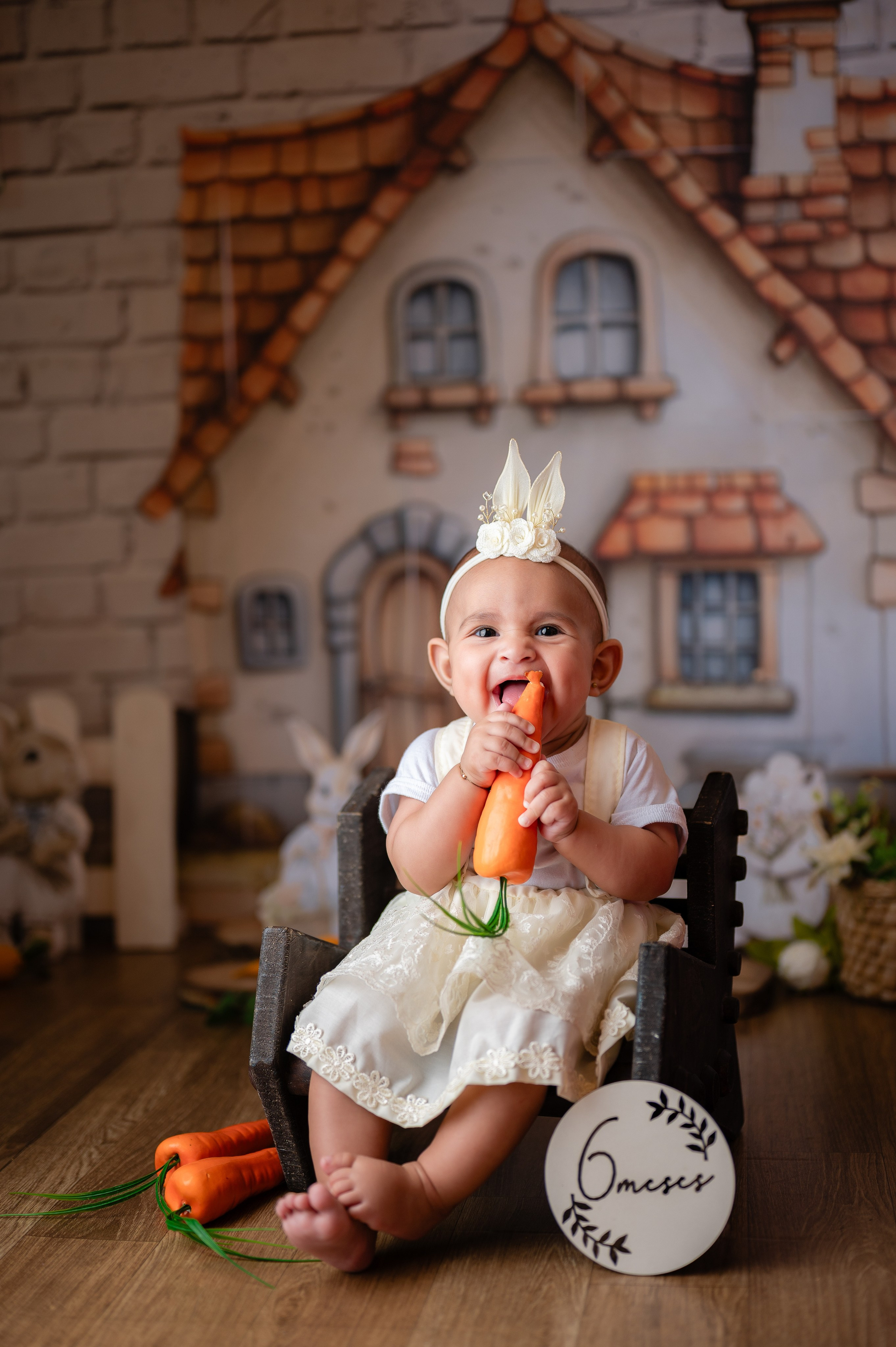 Acompanhamentos. Fotografamos famílias, gestantes, bebês e ensaios individuais