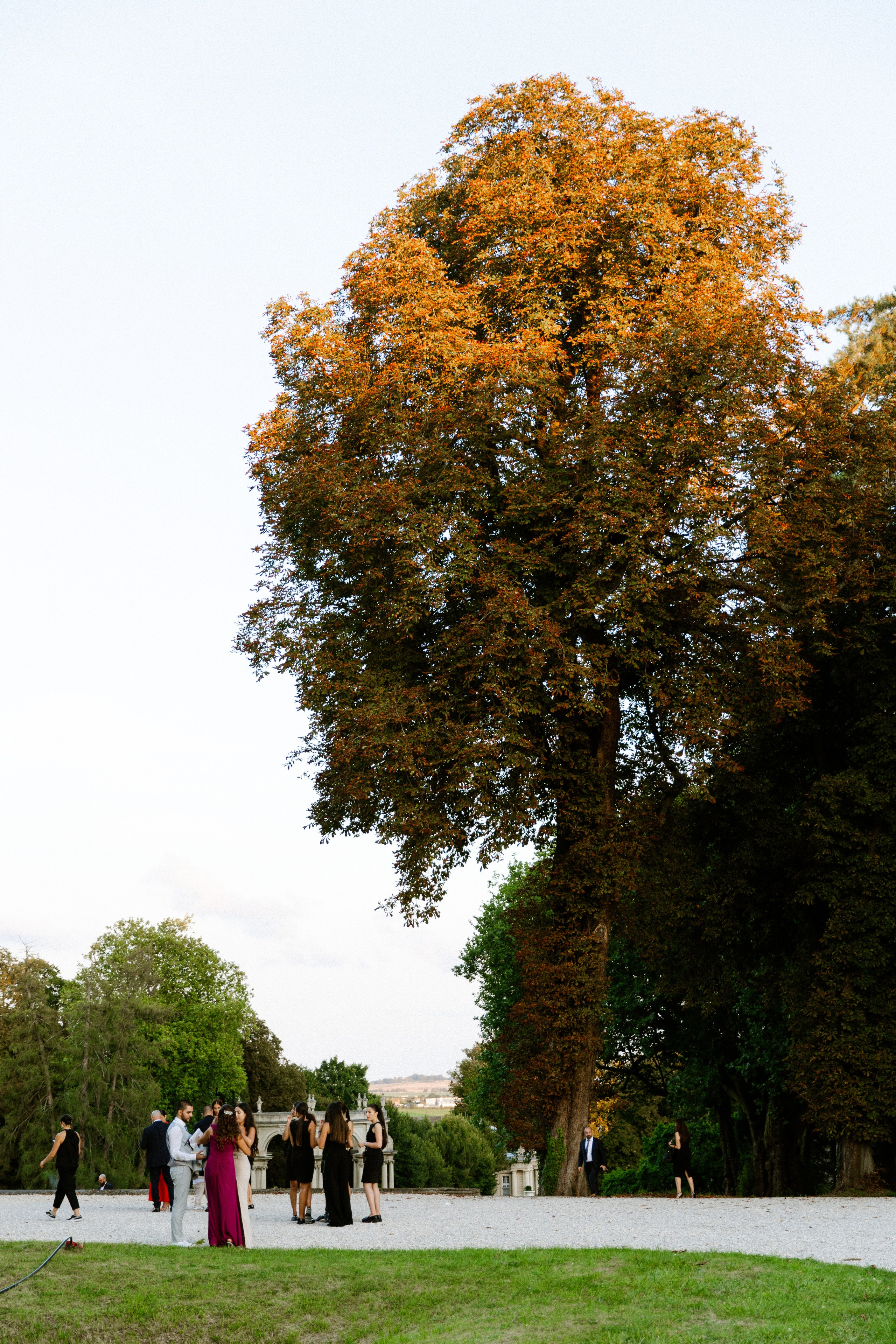 Chloe & Romeo. Photographer in Paris