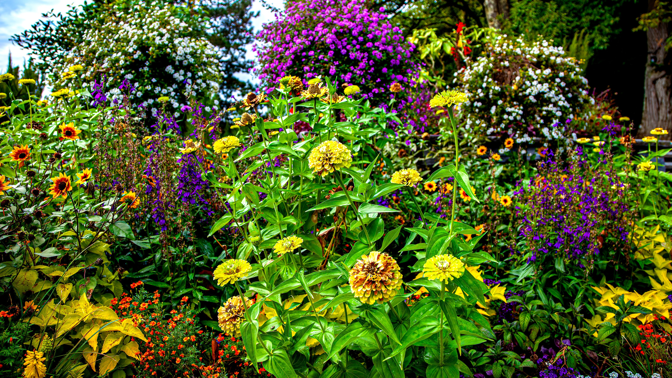 187.Mainau.Germany.24.9.2024. Путешествия в формате 360......