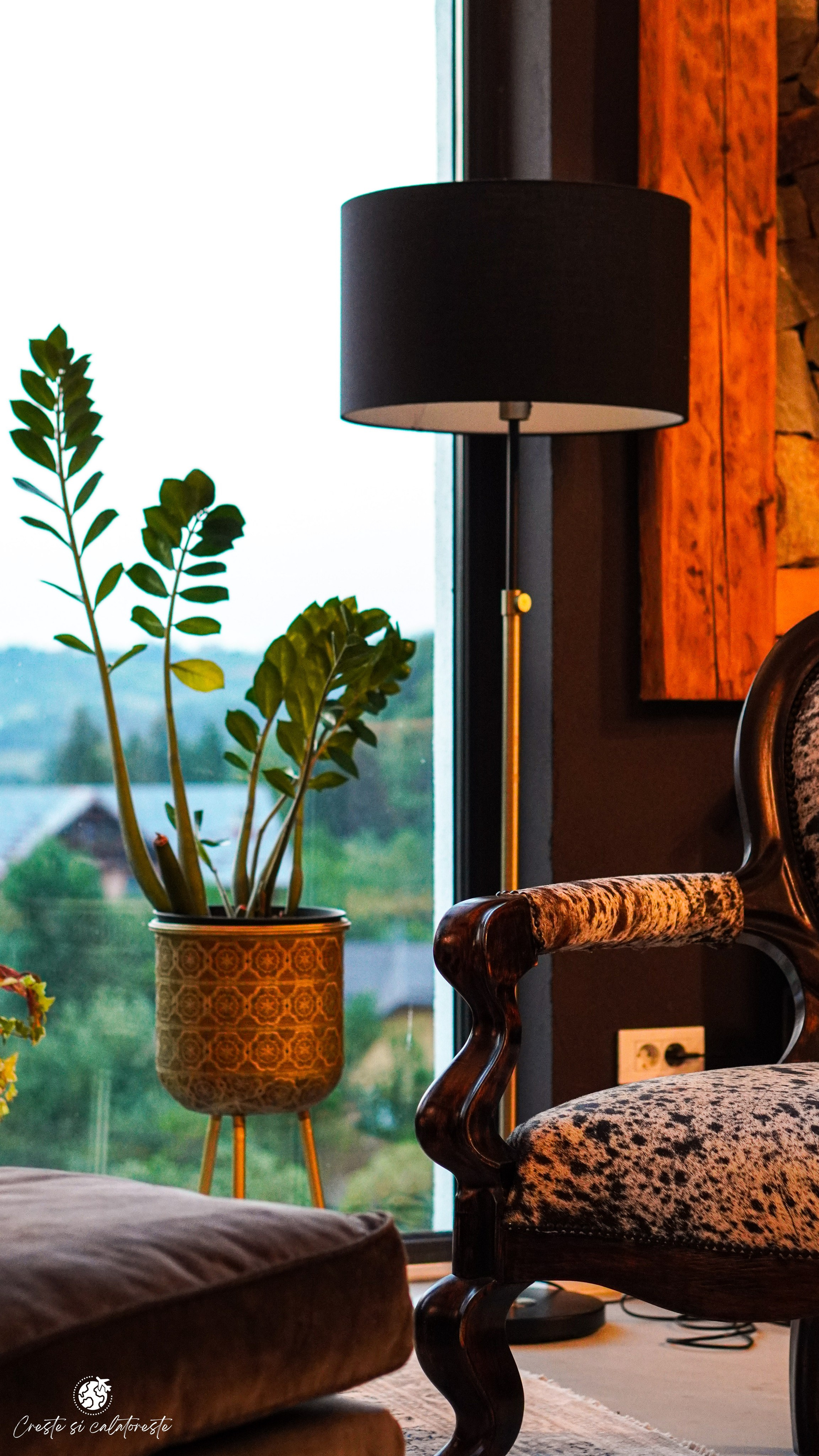 Bransilvania. Creste si calatoreste