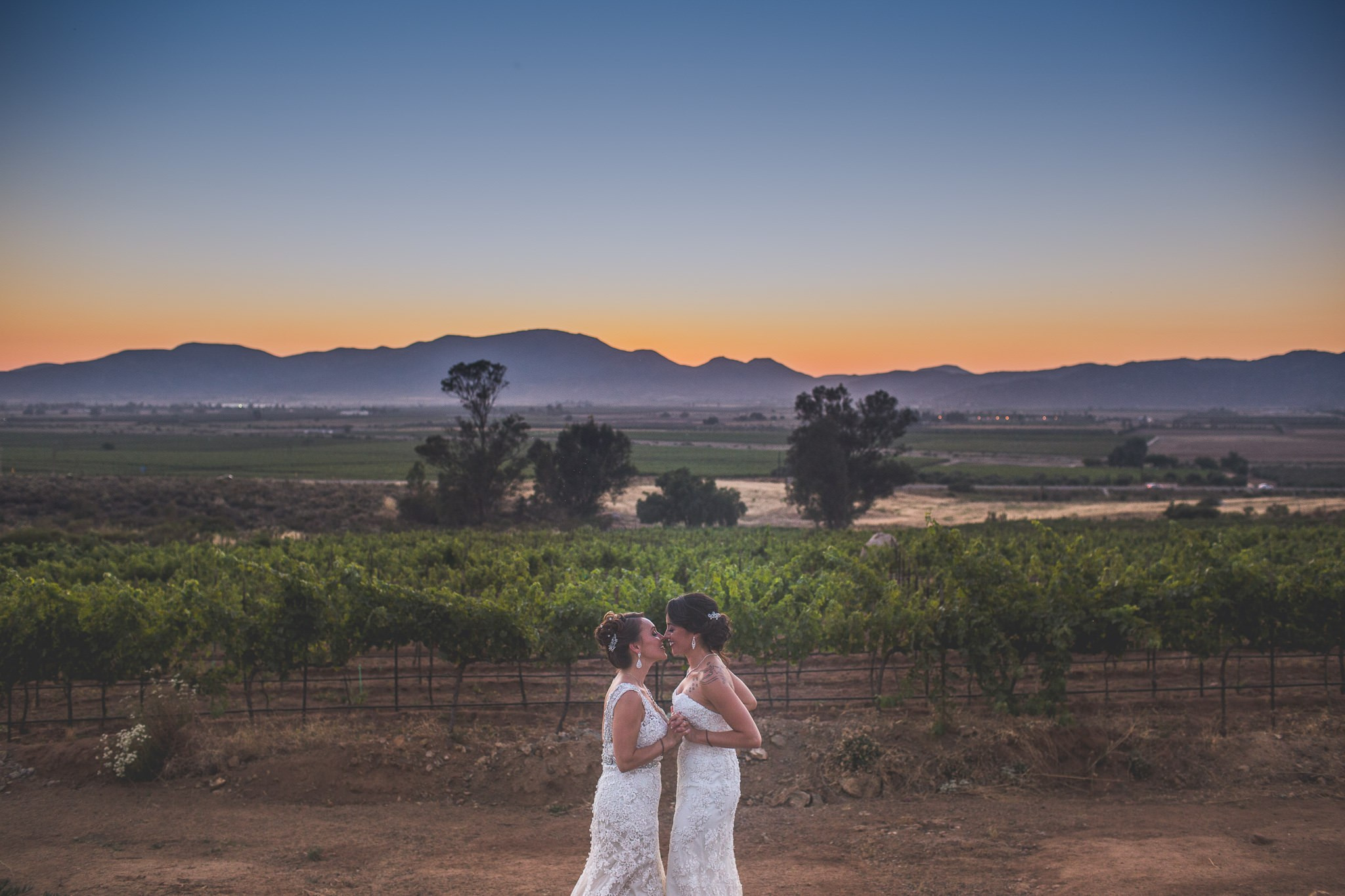 Two Brides Valle de Guadalupe Alicia y Viridiana. Estudio de fotografia en Tijuana