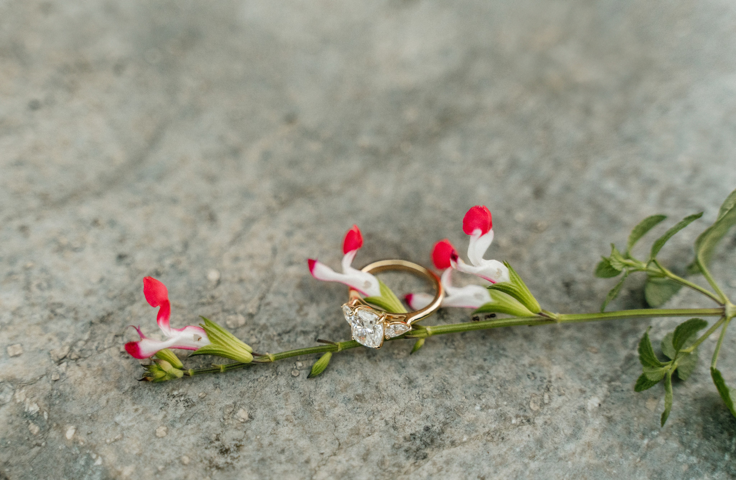 C & C (Ponte Pietra, Verona, Italy). Marriage Proposal Photographer in Verona, Lake Garda and Dolomites| Diana Fedrigo