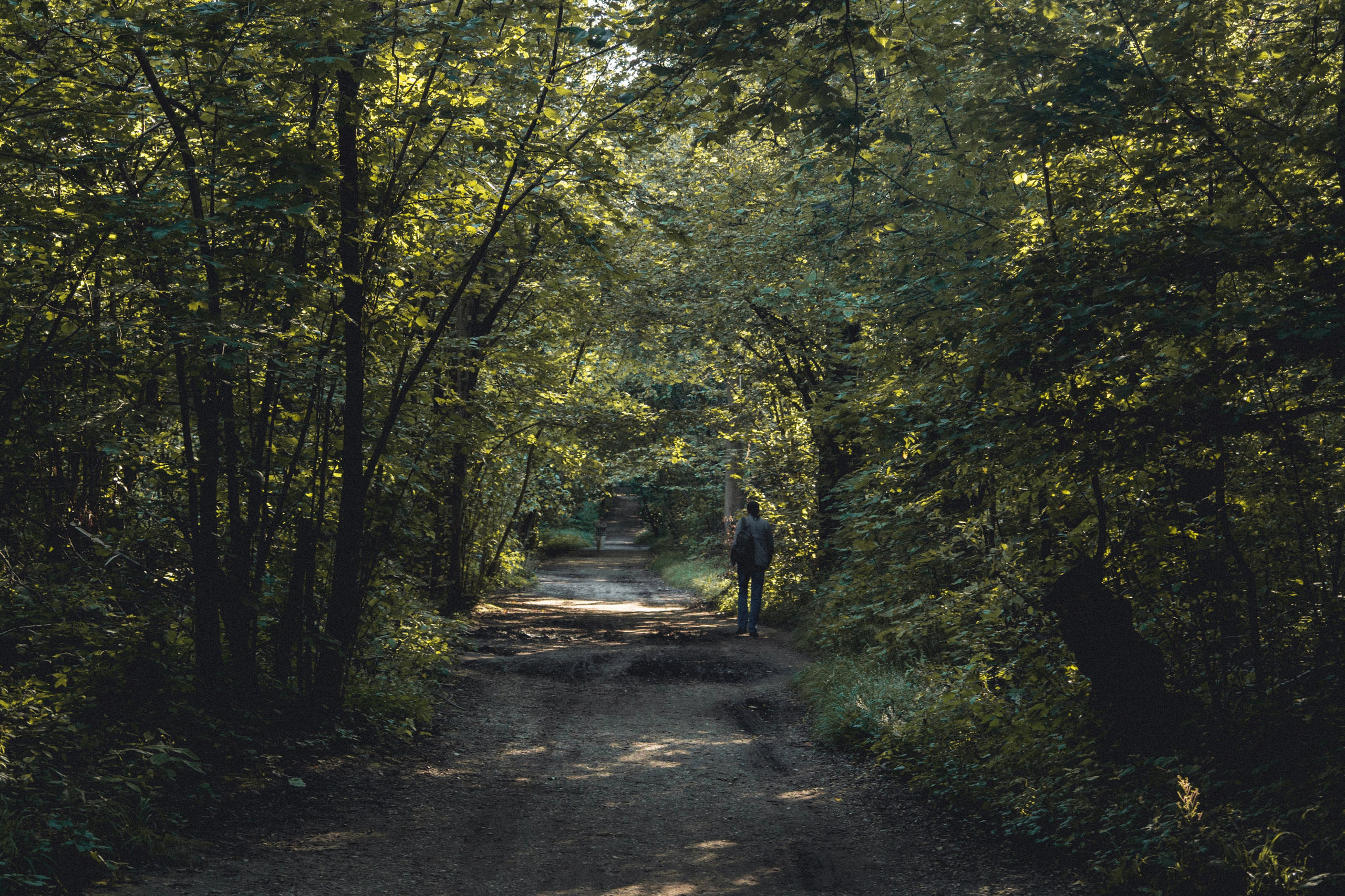 ВДНХ и Ботанический сад. Семейный и детский фотограф на Лазурном Берегу