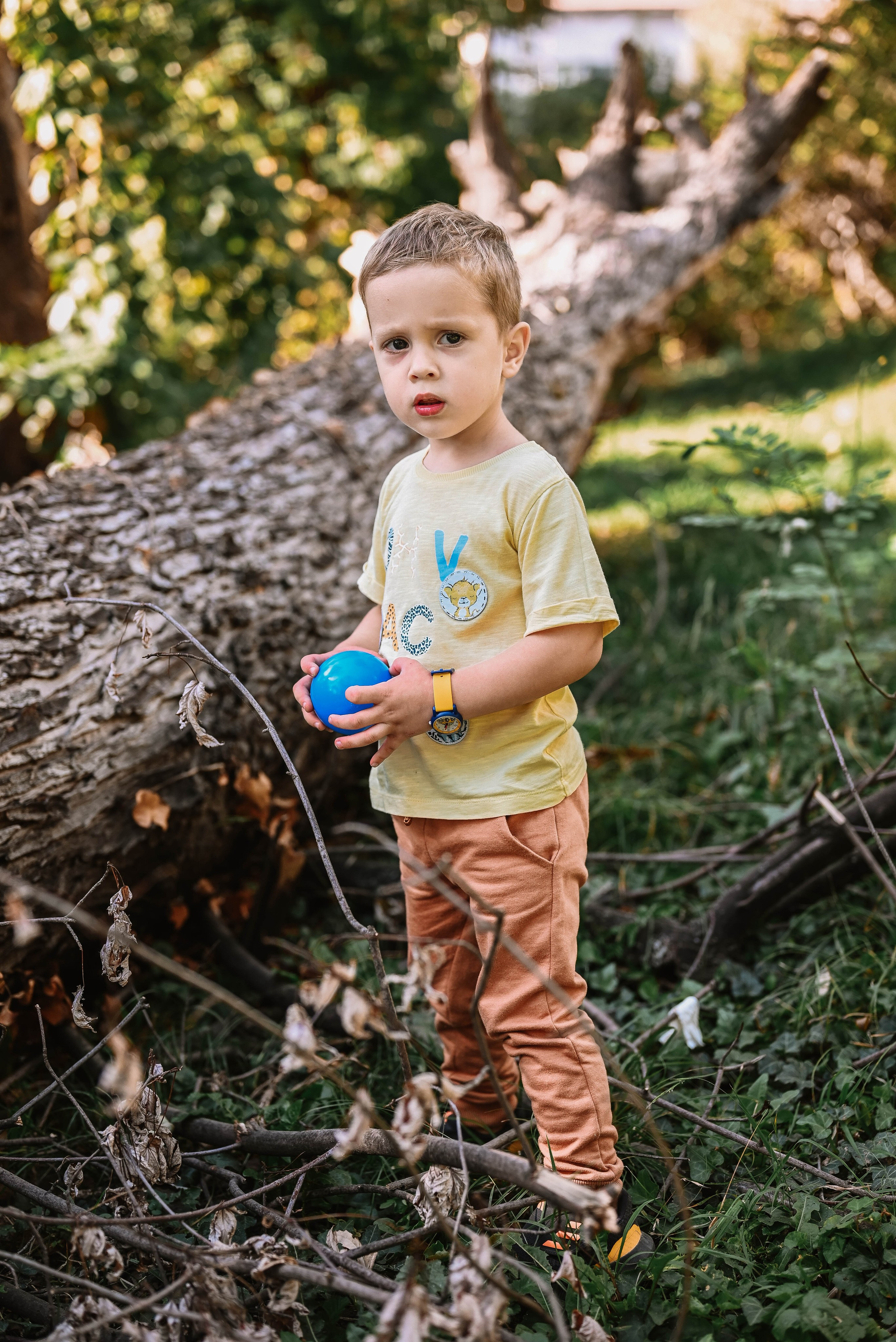 Novak 5. rođendan. Dečiji i porodični fotograf