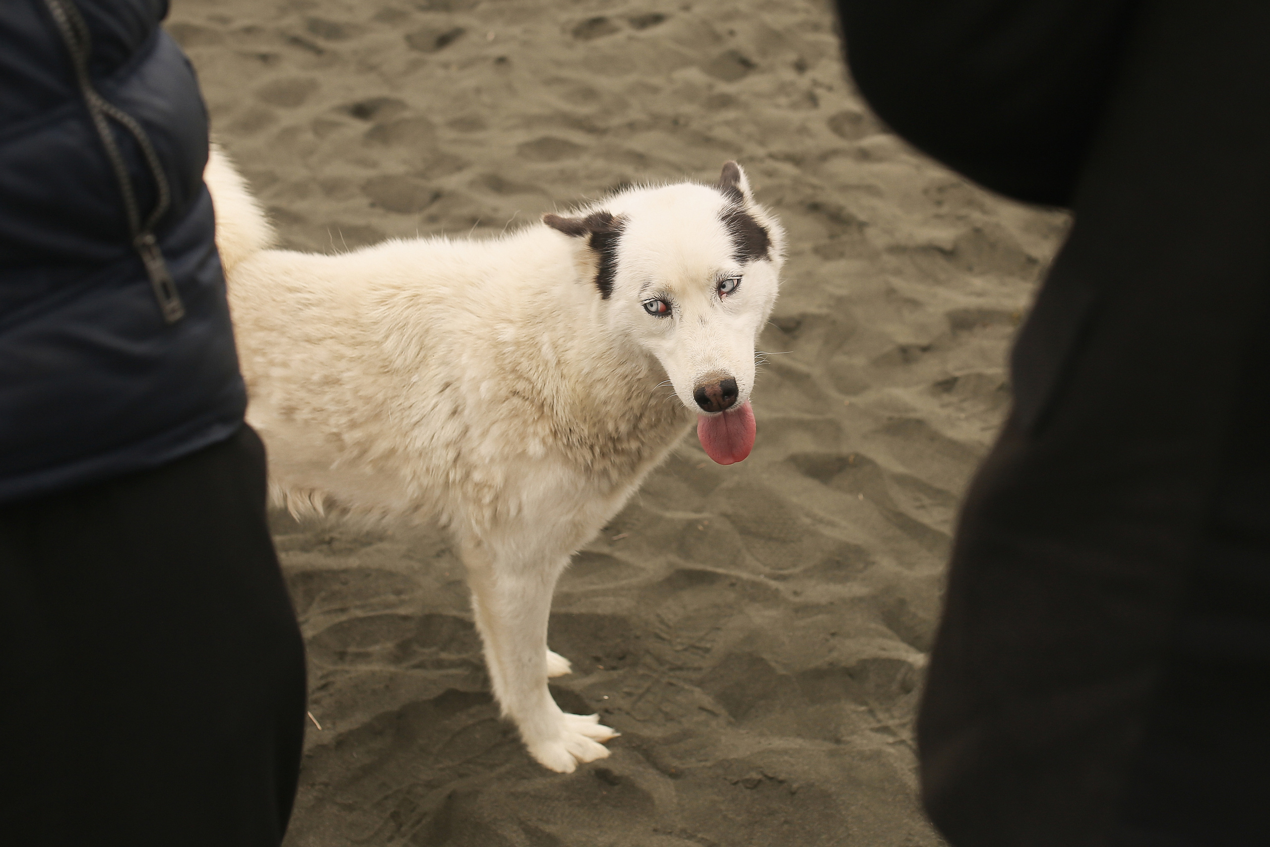 With love from Georgia. Свадебный, семейный и детский фотограф в Беларуси и за ее пределами