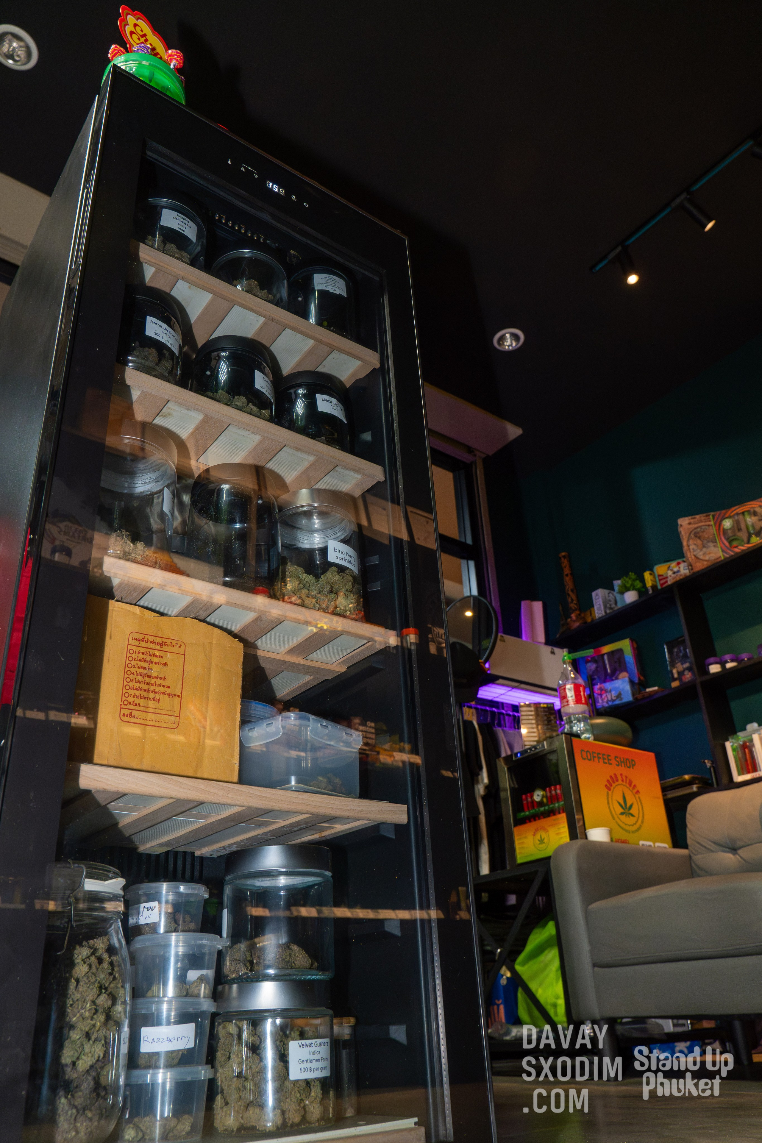 Standup-шоу «Тай-Болтай» | Фоторепортаж | Афиша | DAVAYSXODIM.com PHUKET. АФИША|ФОТОРЕПОРТАЖИ|ИВЕНТЫ|ПХУКЕТ