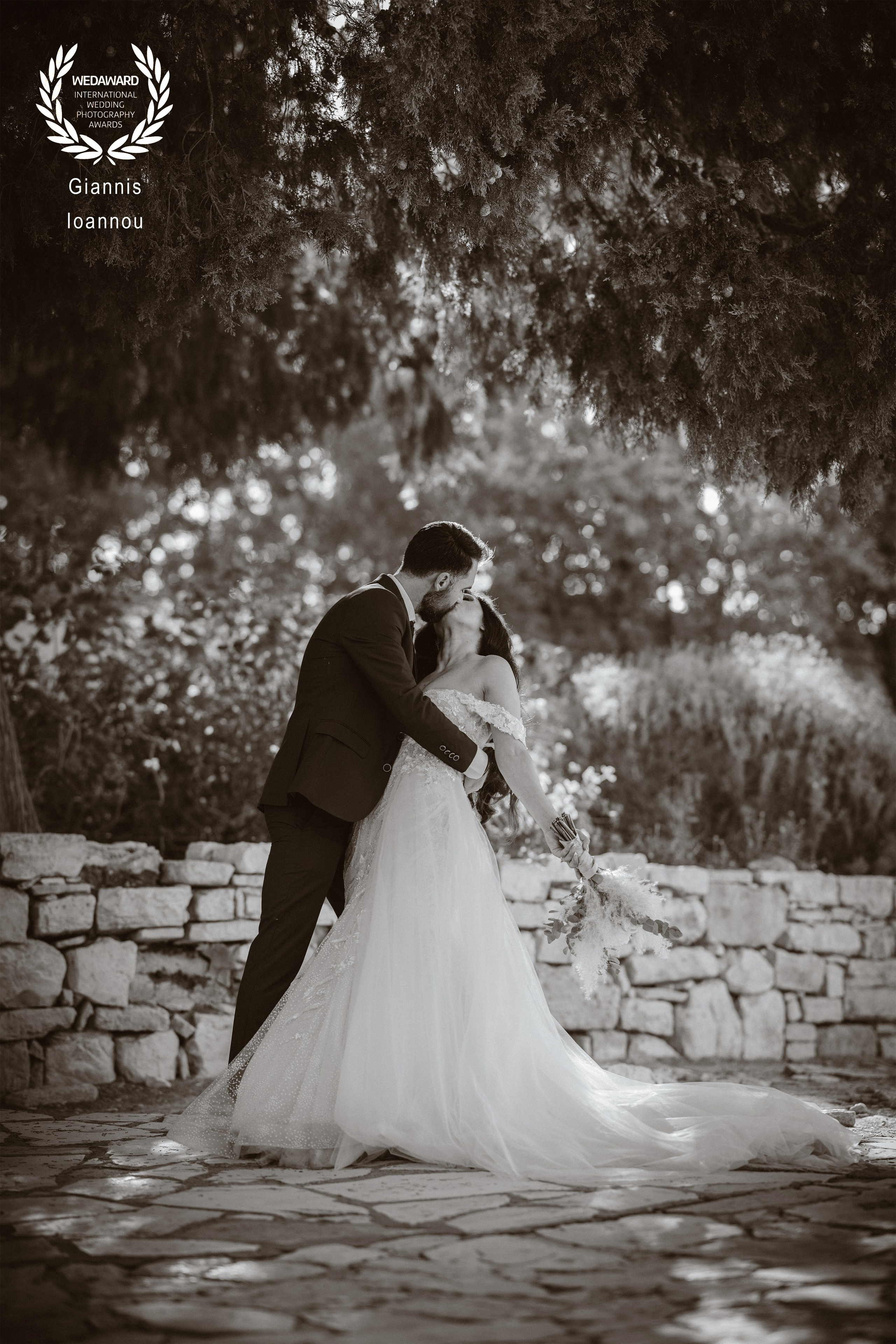 Awards. Giannis Ioannou