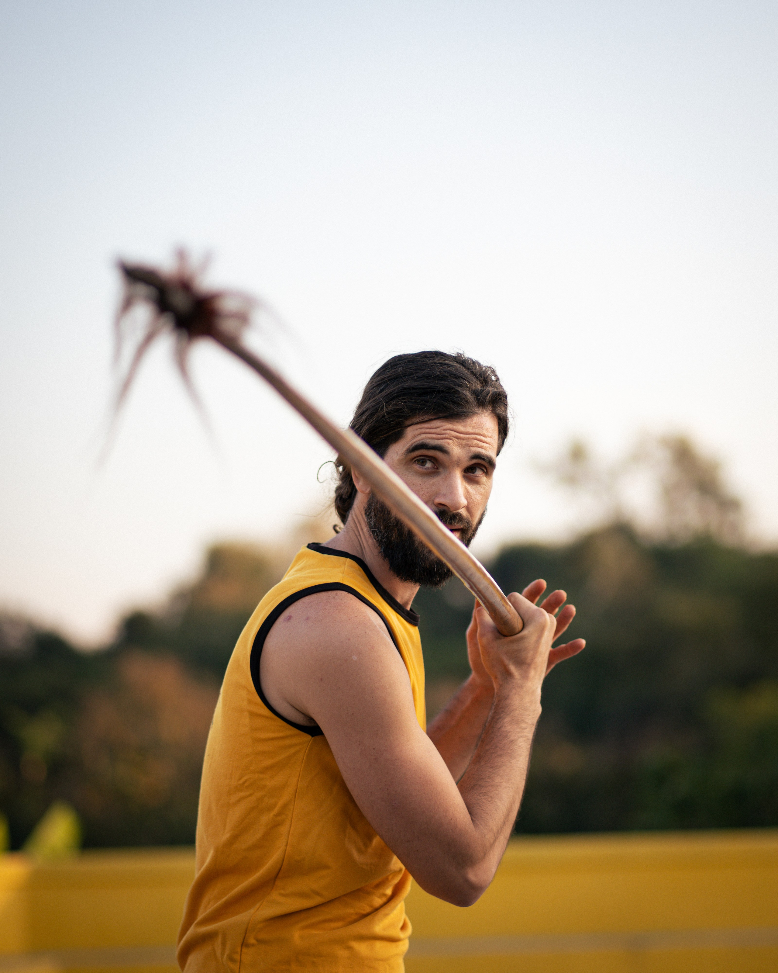 Gatherings. Catarina Calheiros