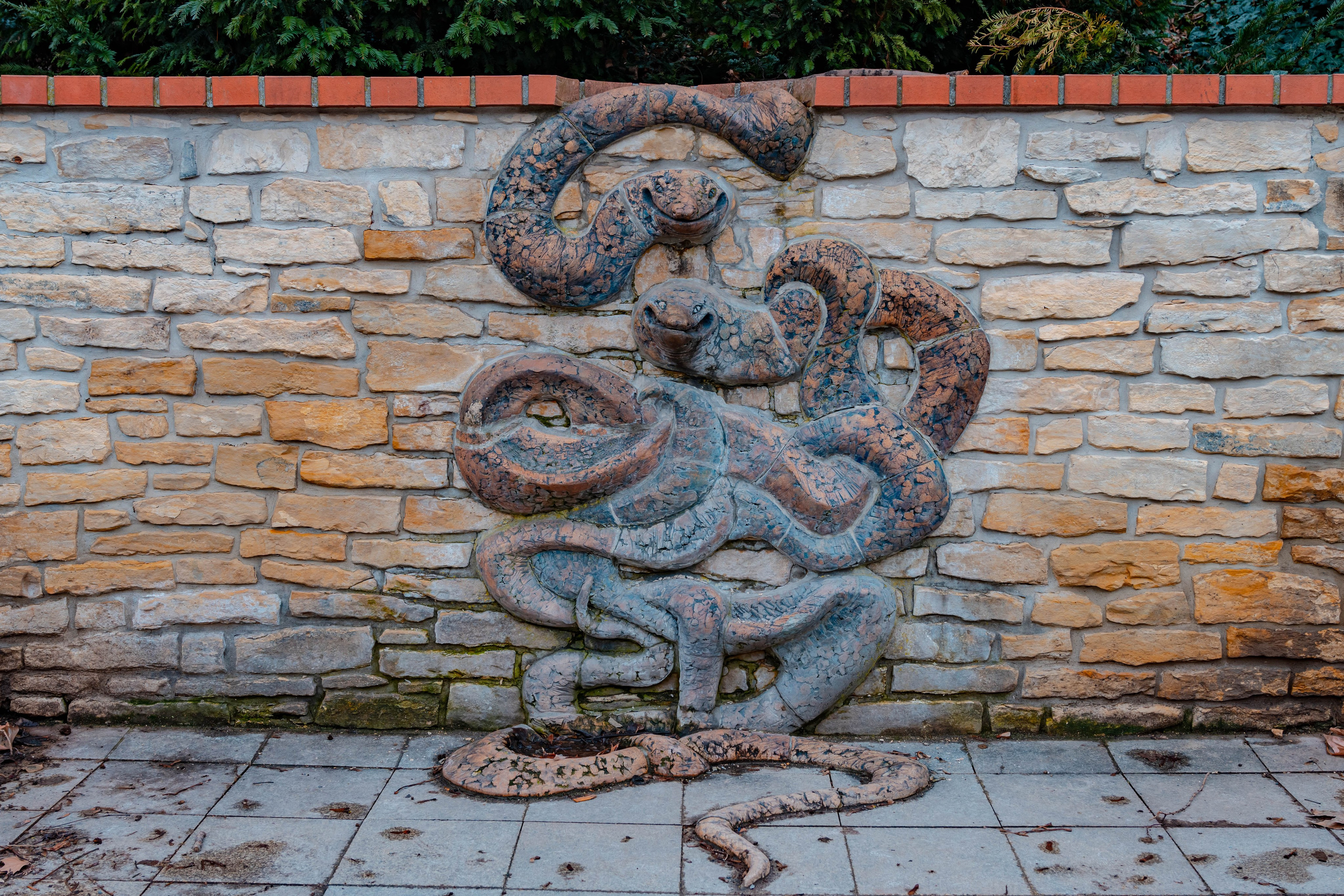 Praga, Febrero 2024. Alba del Norte Studio