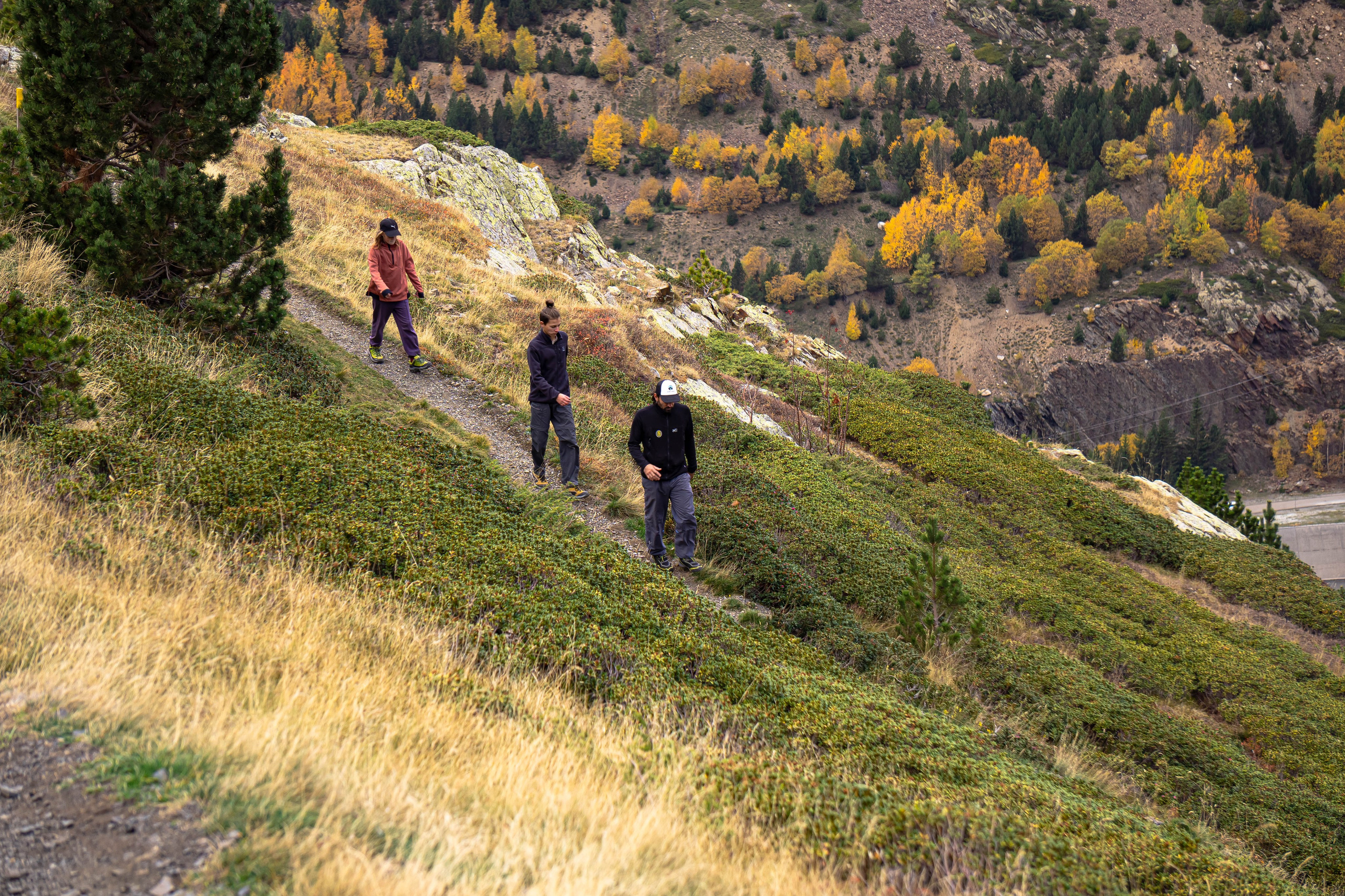 Vall Fosca en otoño. Alba del Norte Studio