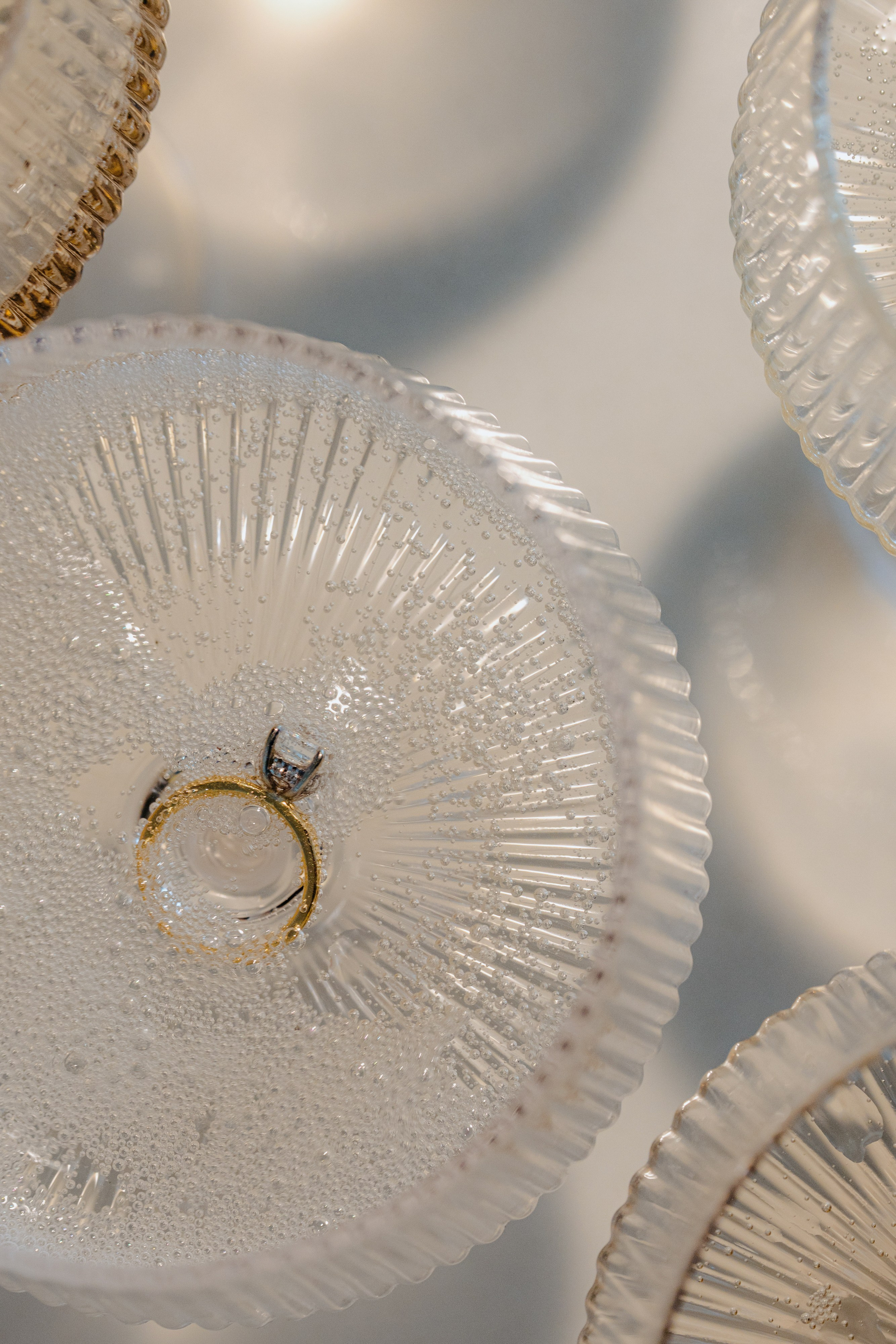 Ashley and Bobby. Wedding photographer and videographer New York | New Jersey