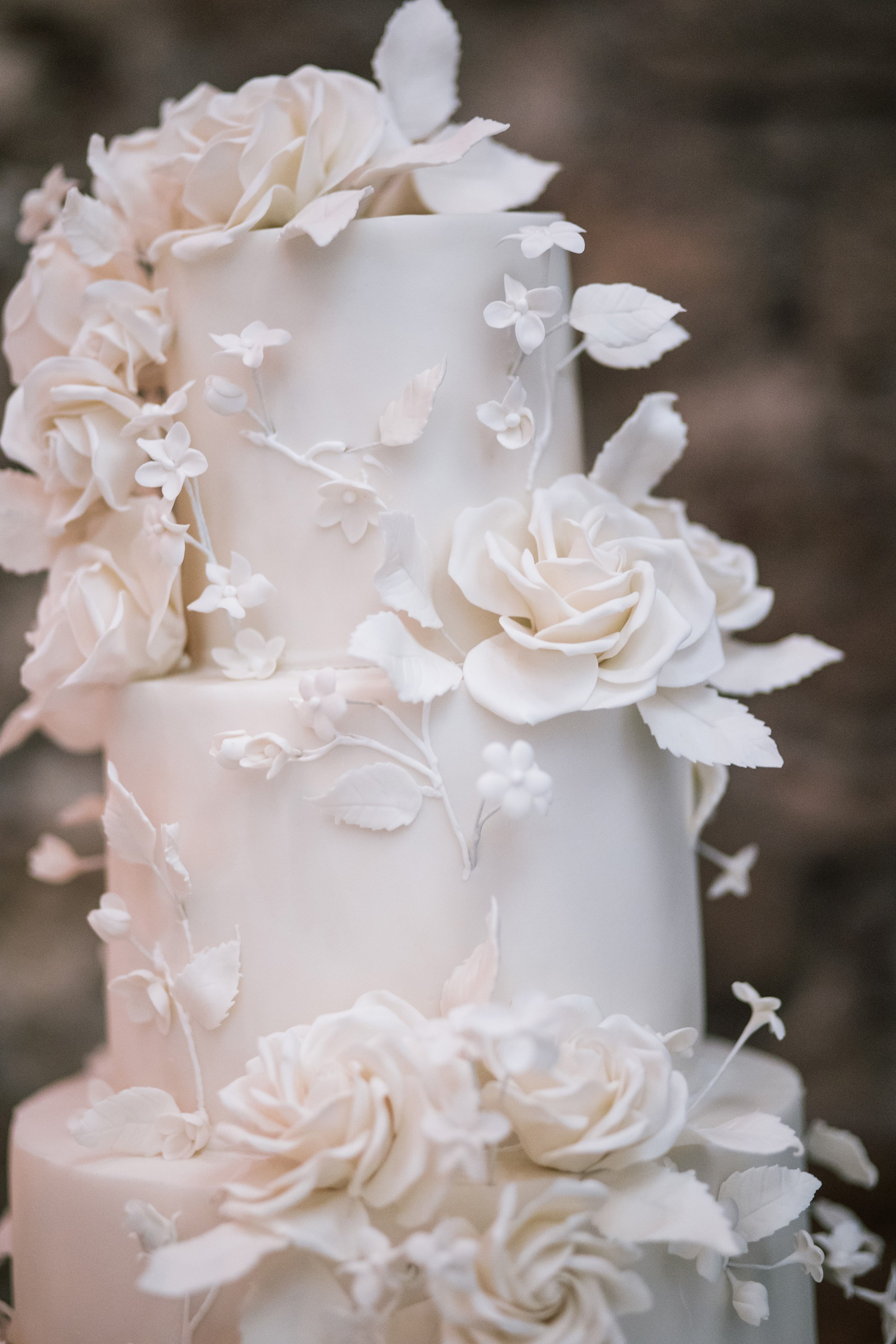 Preparativos /Getting Ready. Principal