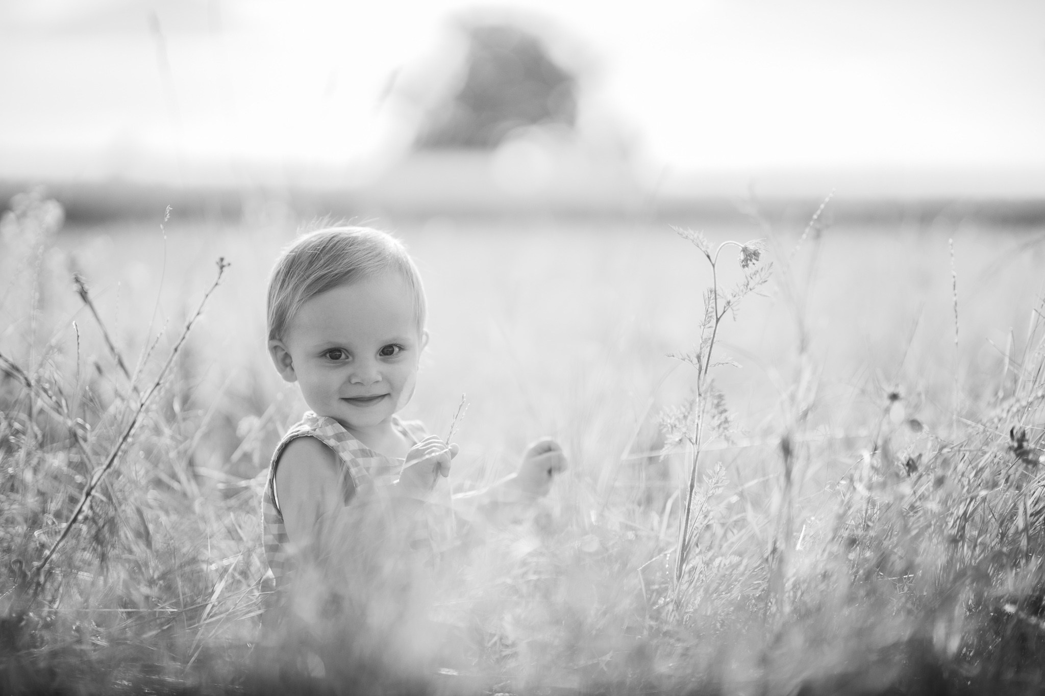 Crno-beli portret nasmejanog mališana koji sedi u sunčano osvetljenom polju visoke trave i gleda direktno u kameru. Fotografija deteta na otvorenom.