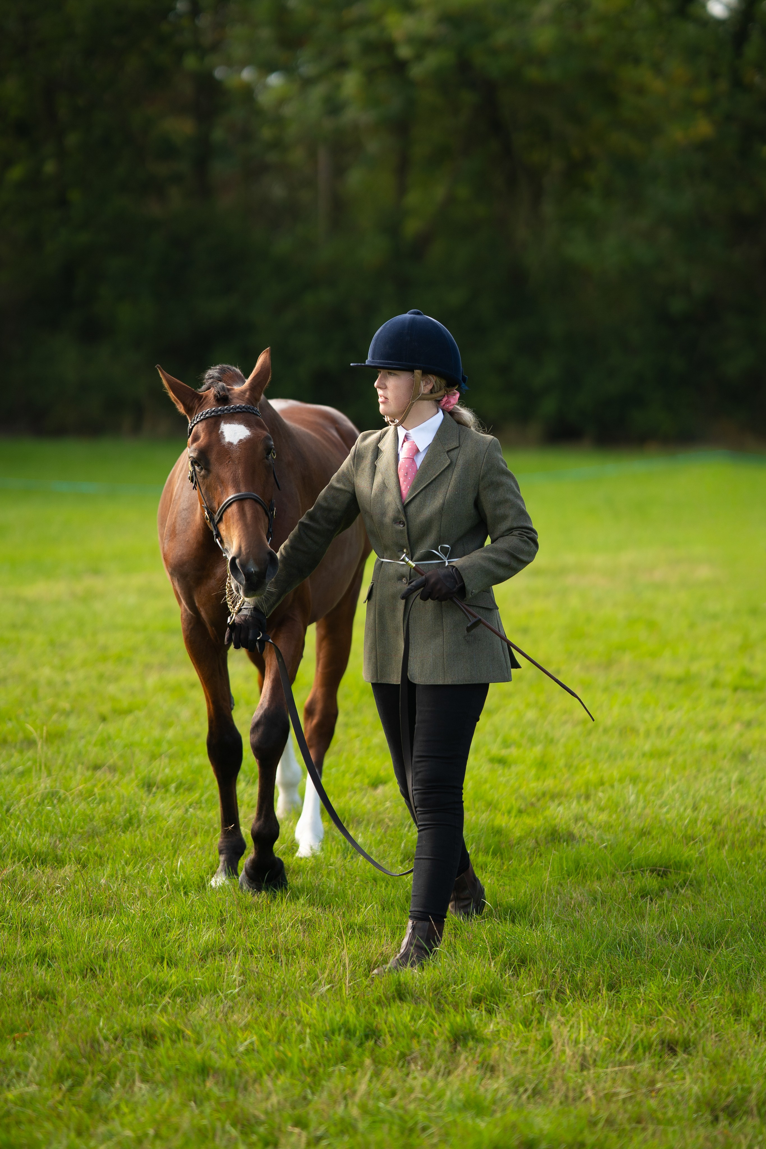 Showing. Leicestershire Equine Photography by El | Authentic Equine Portraits & Events
